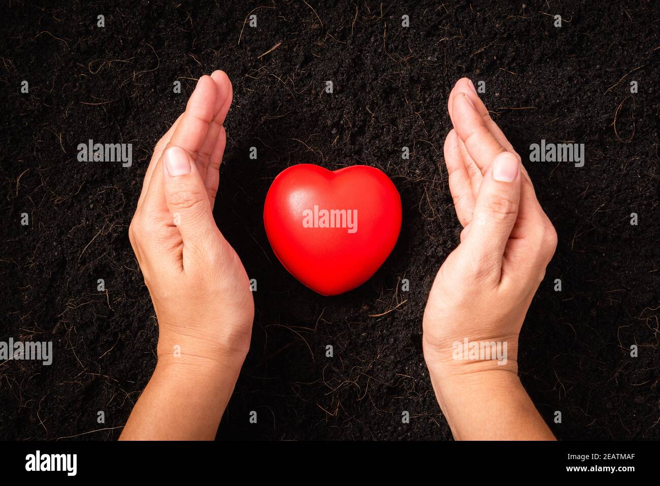mano della donna che tiene il cuore rosso sul terreno nero fertile del composto Foto Stock