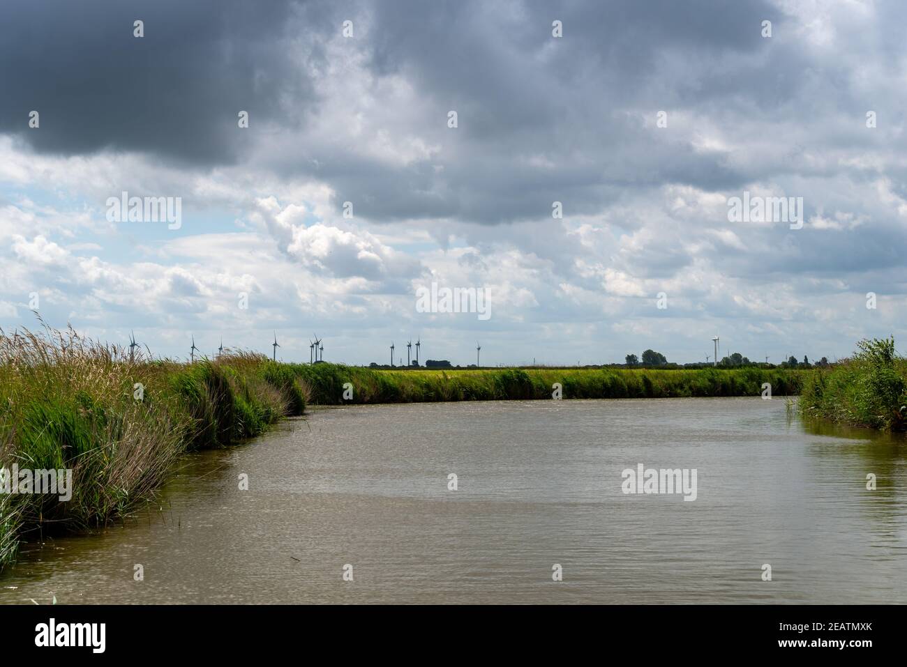Vista su una fogna con drammatica nuvole nel cielo blu in Frisia, Bassa Sassonia, Germania Foto Stock