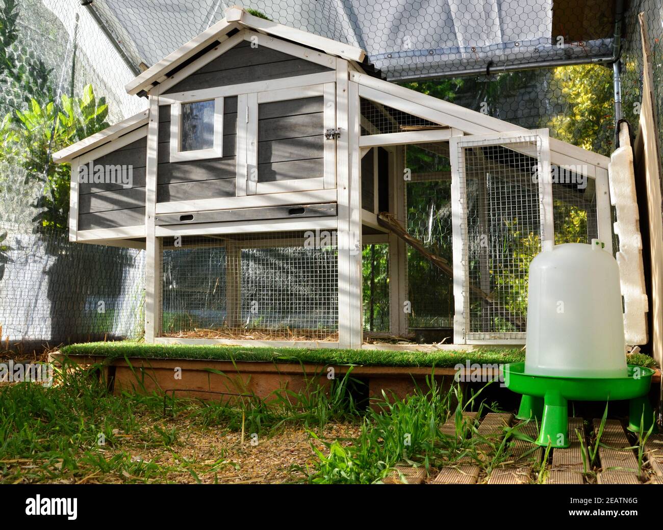 Una casa di gallina o una polpetta di pollo Foto Stock
