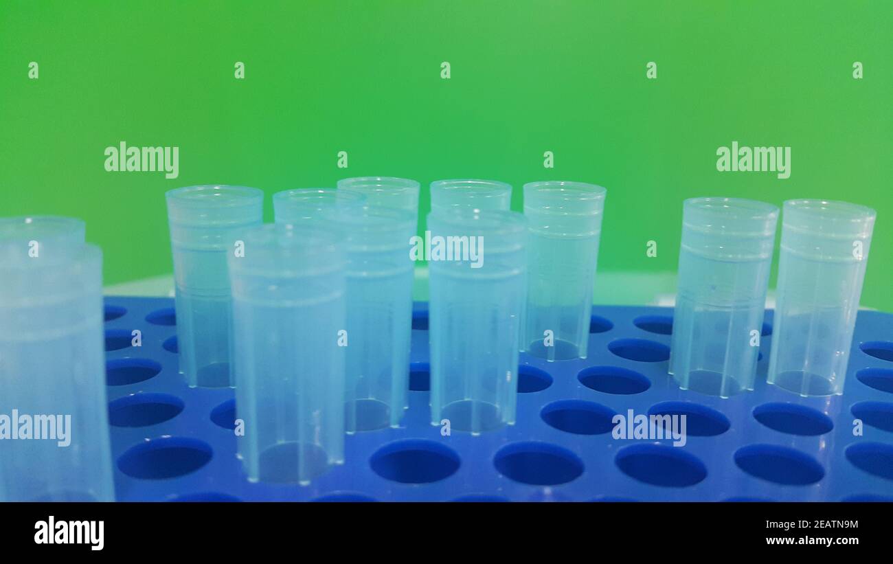 Vista ravvicinata dei puntali blu da microlitri nella scatola per micropunte con fori vuoti. Foto Stock