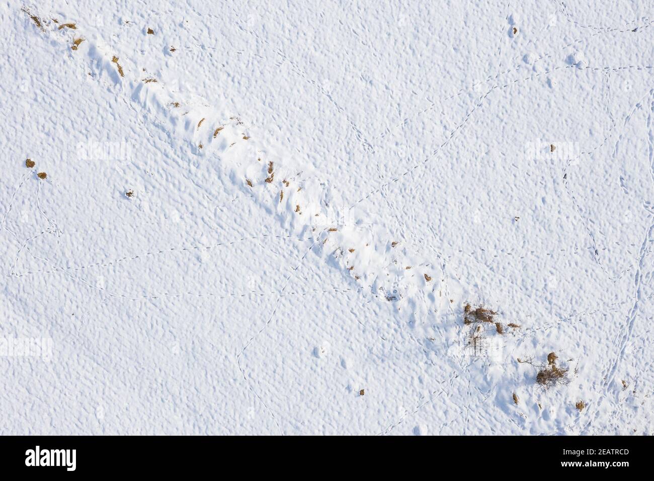 Paesaggio invernale innevato nella foresta bavarese con tracce di animali selvatici nella neve profonda, in Germania Foto Stock