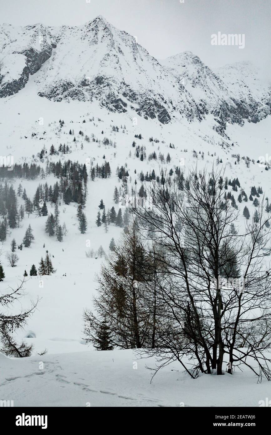 Cima delle montagne innevate durante l'inverno Foto Stock