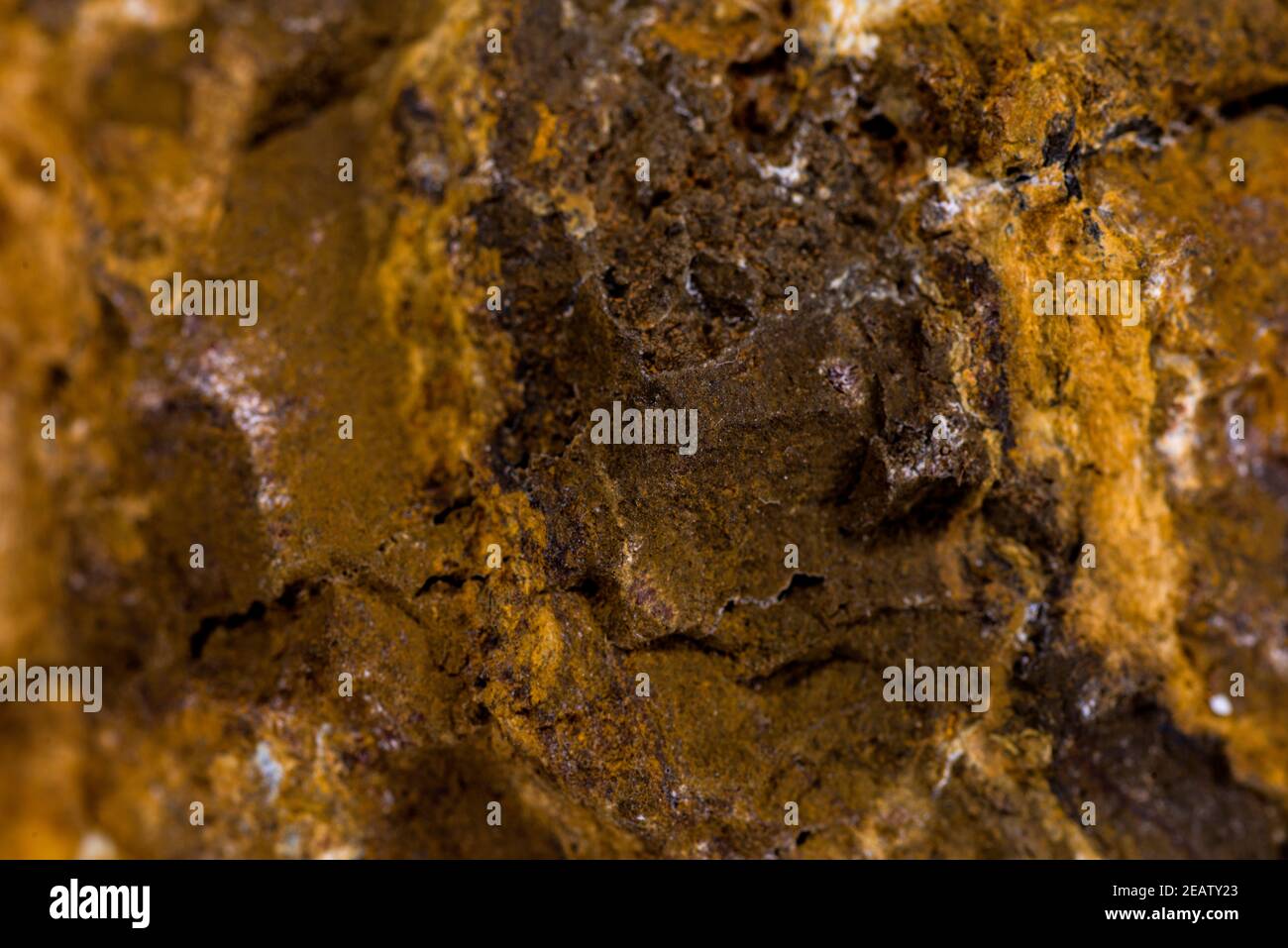 Pietra di fosforite in un closeup Foto Stock