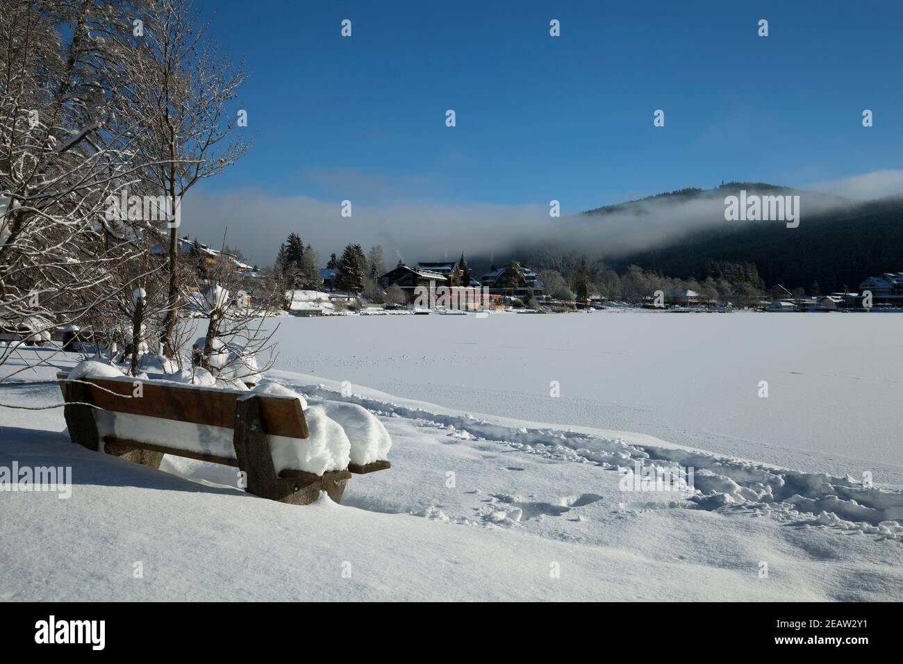 Giornata invernale al Titisee nella foresta nera Foto Stock