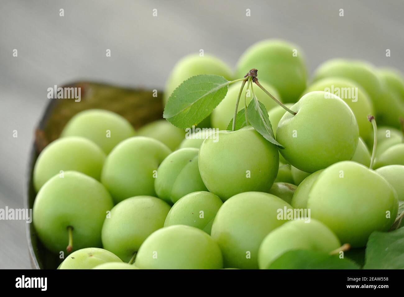 prugne acuminate fresche verdi e grandi quantità nel piatto Foto Stock