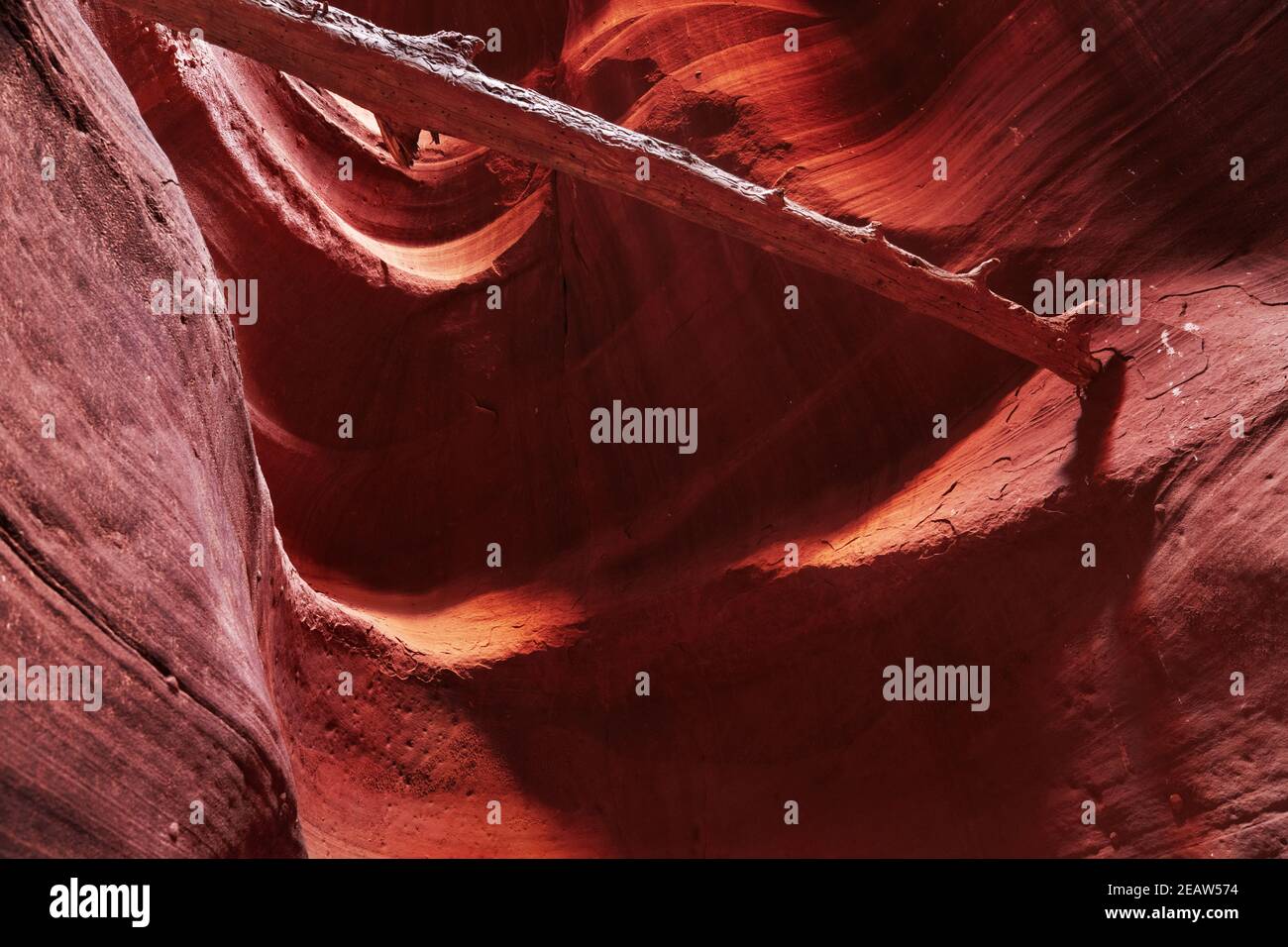 Tomaia Antelope Canyon, Arizona, Stati Uniti d'America Foto Stock