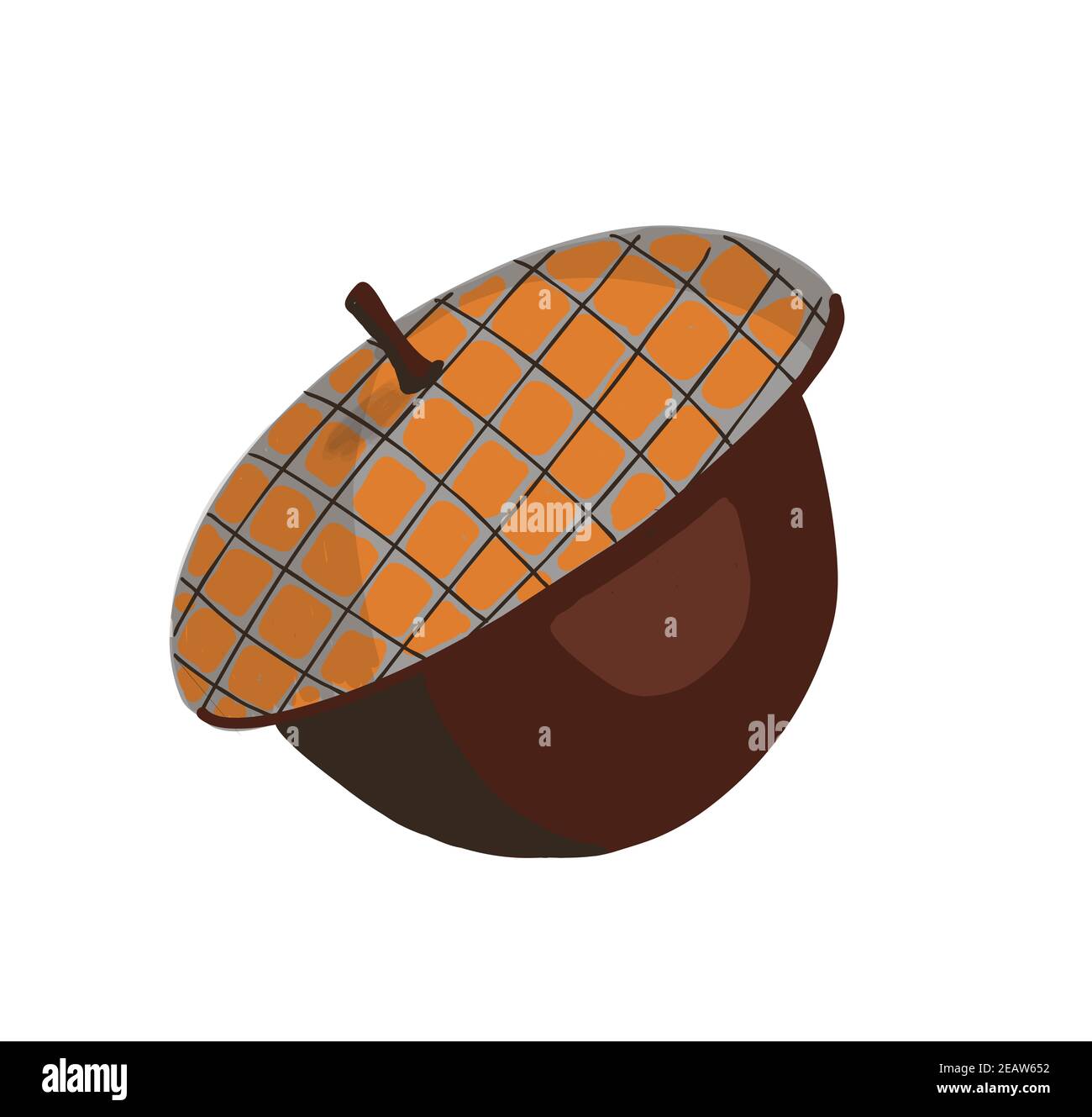 Stagione autunnale. Nocciola di Acorn isolata su sfondo bianco. Elementi di album per festa, festa di raccolto o giorno di ringraziamento Foto Stock