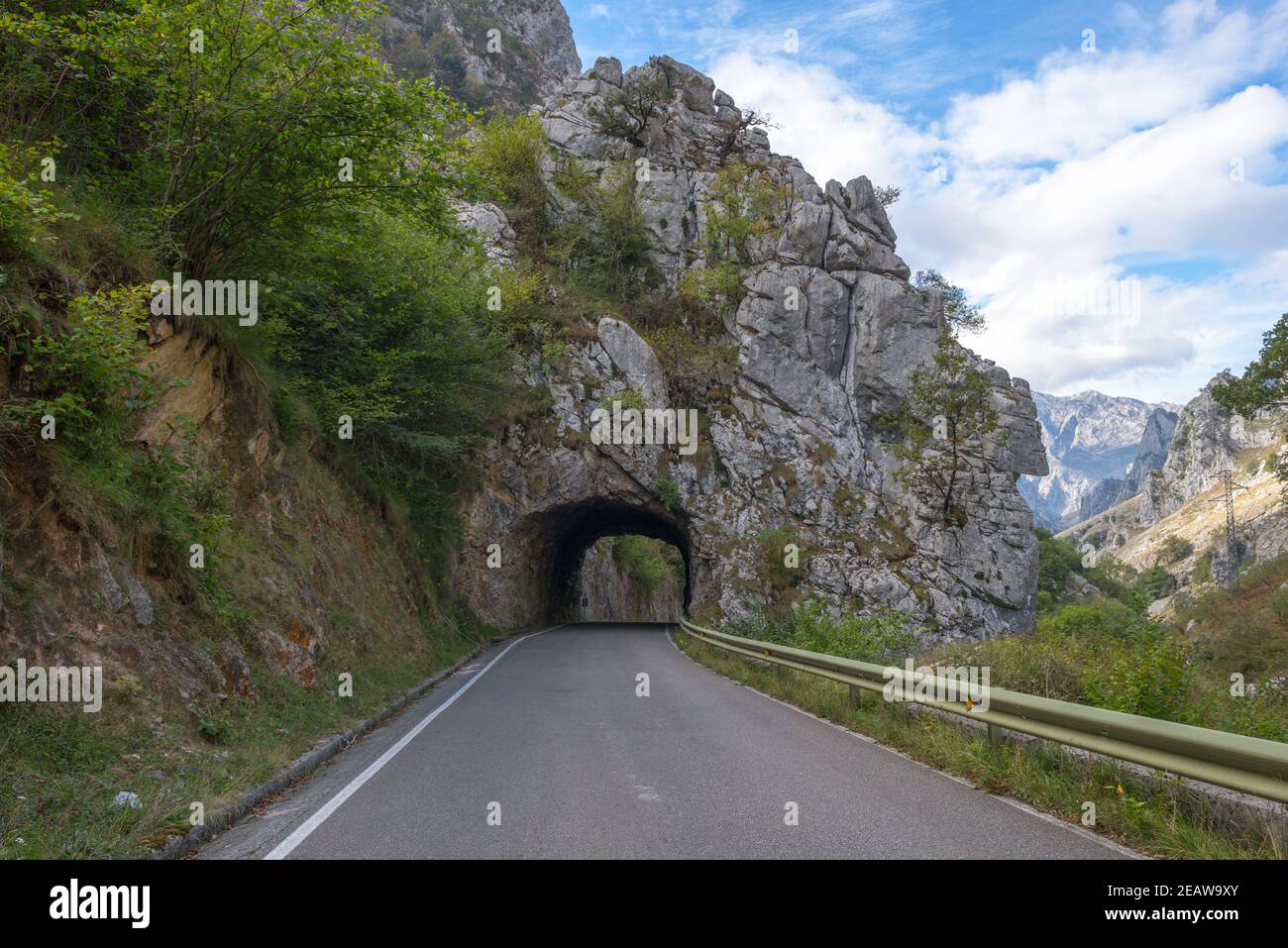 Il parco nazionale di spanisch Picos de Europa Foto Stock