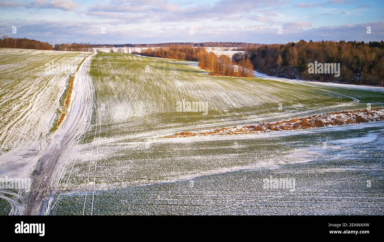 Inverno campo agricolo sotto la neve. Scena aerea. Dicembre paesaggio rurale. Strada di campagna Foto Stock