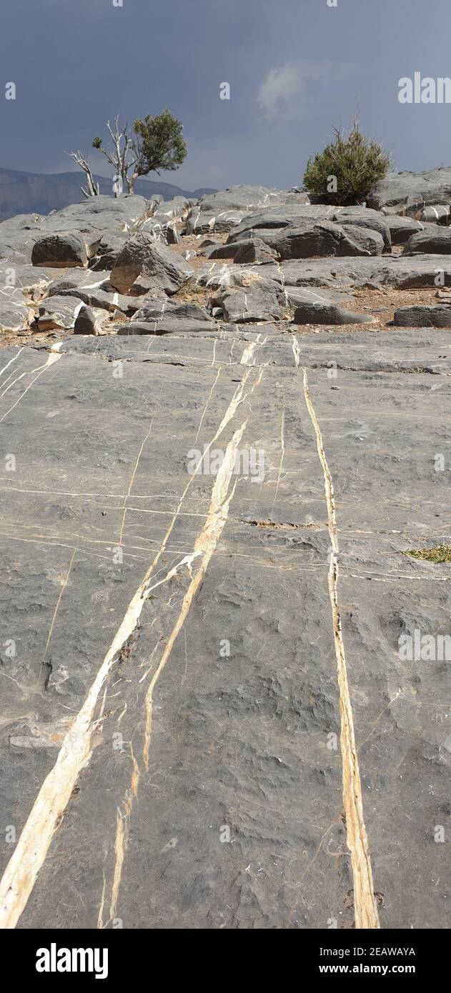 Vene di calcite nella roccia calcarea sull'altopiano di fronte al Grand Canyon di Jabal Shams in Oman. Foto Stock