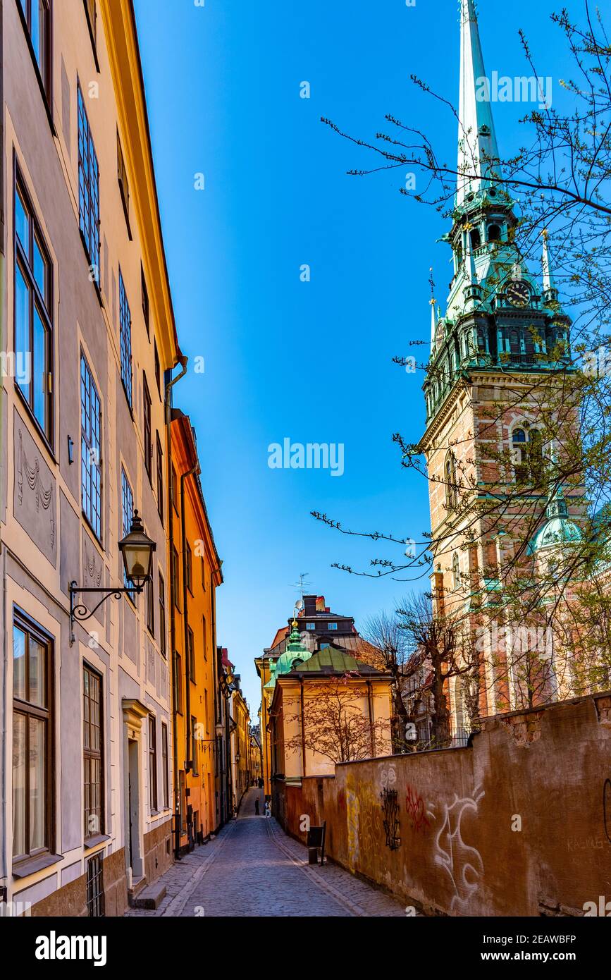 Chiesa di San Gertrud nel centro storico di Gamla Stan, Stoccolma, Svezia Foto Stock