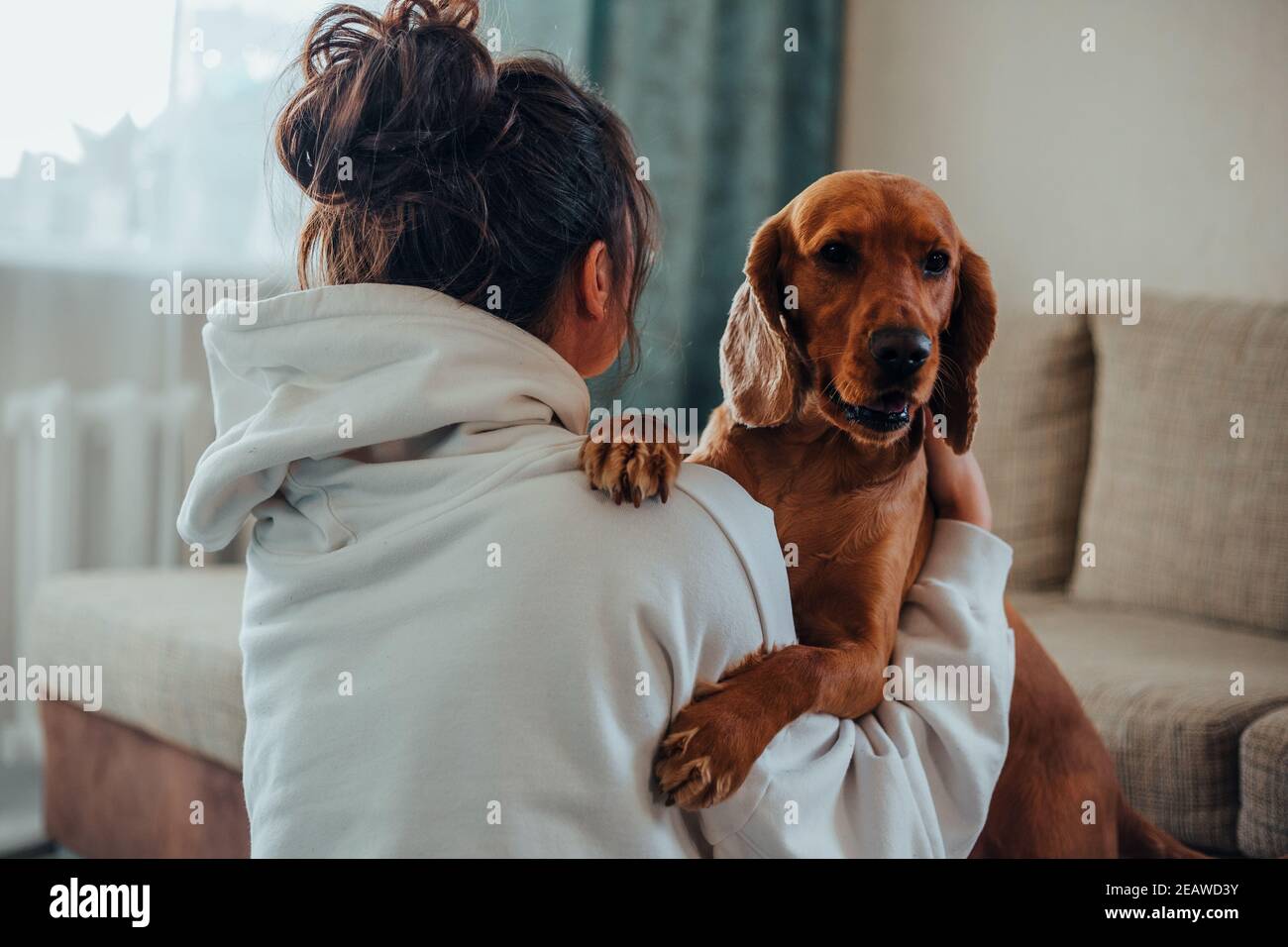 Una ragazza di signora abbracciò un cane Cocker Spaniel Foto Stock