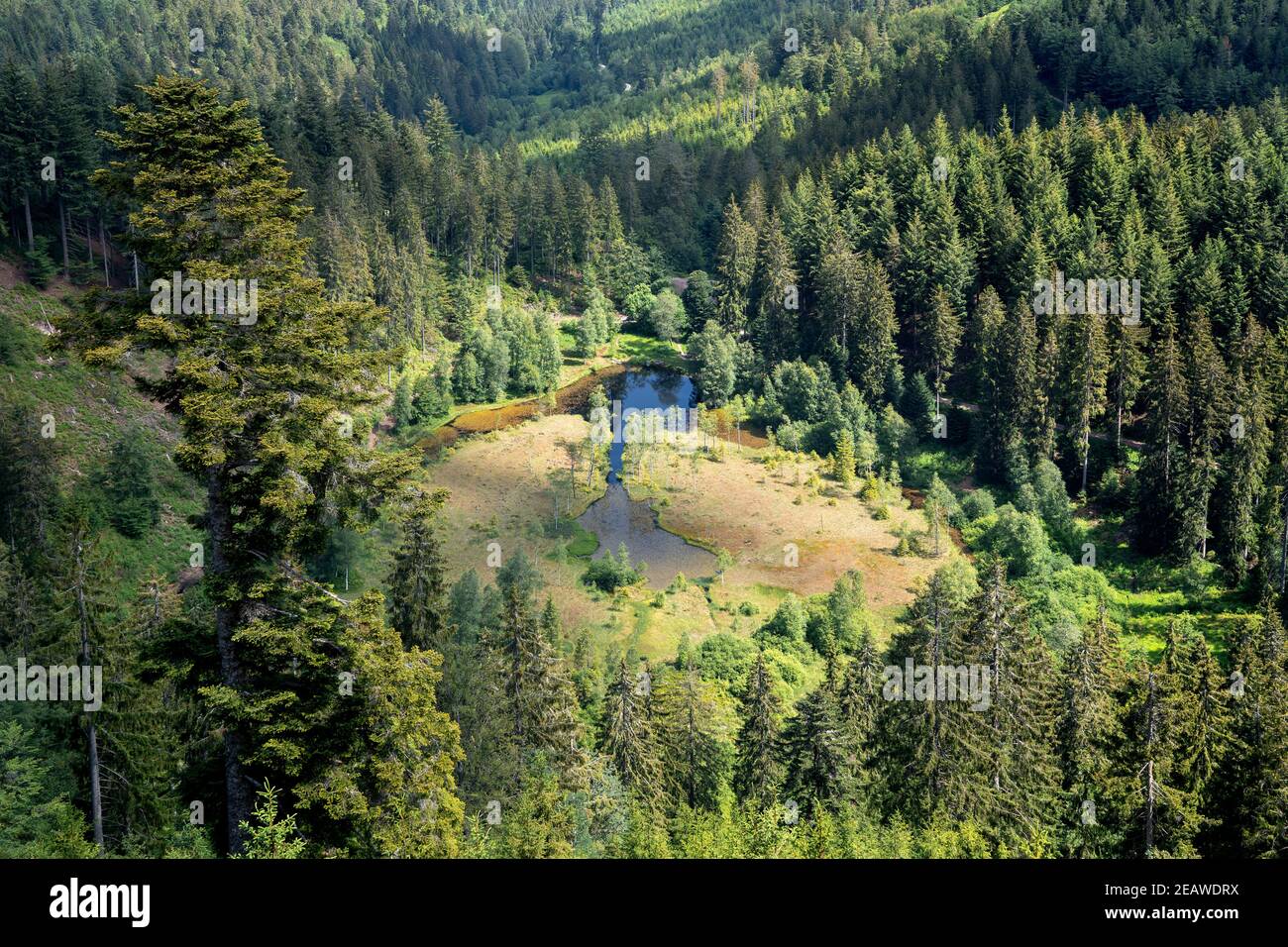 Vista ingrandita del lago Ellbachsee nella Foresta Nera, Germania Foto Stock