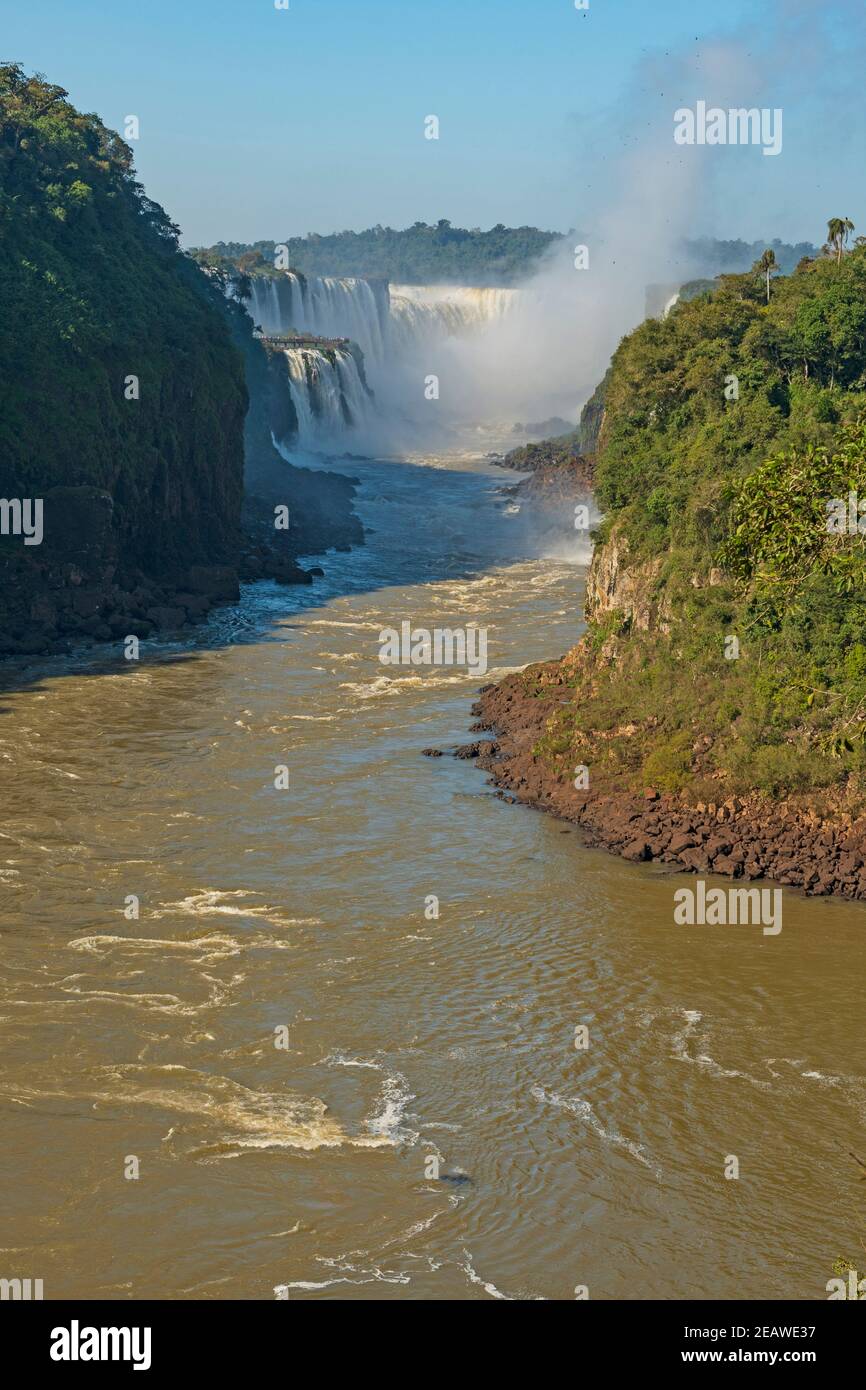 Guardando lo scivolo principale delle cascate di Iguazu Foto Stock