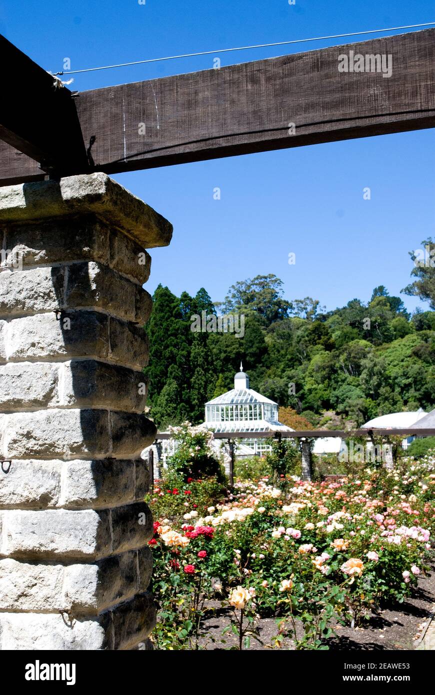 Dunedin Botanic Garden , Isola del Sud, Nuova Zelanda. Foto Stock