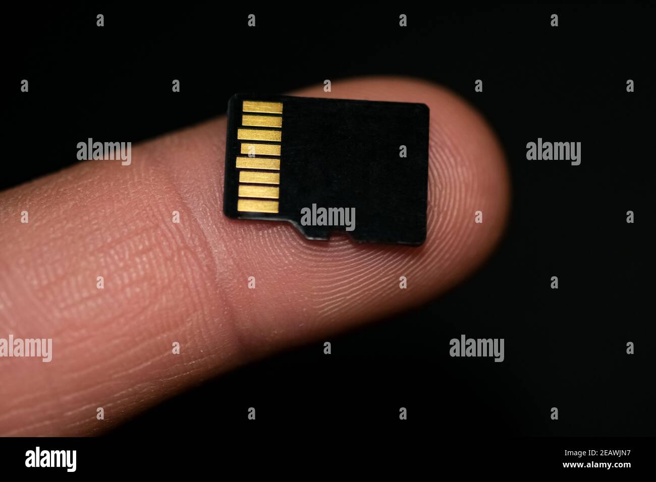 Scheda microSD su un dito umano su sfondo nero, dati hi tech dispositivi di archiviazione Foto Stock