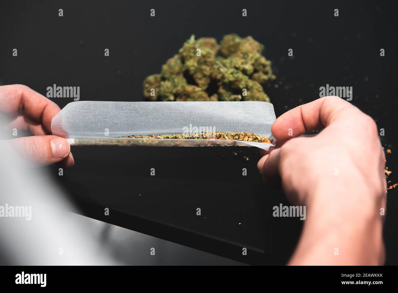 Rotolare un perfetto giunto con la cannabis CBD Foto Stock