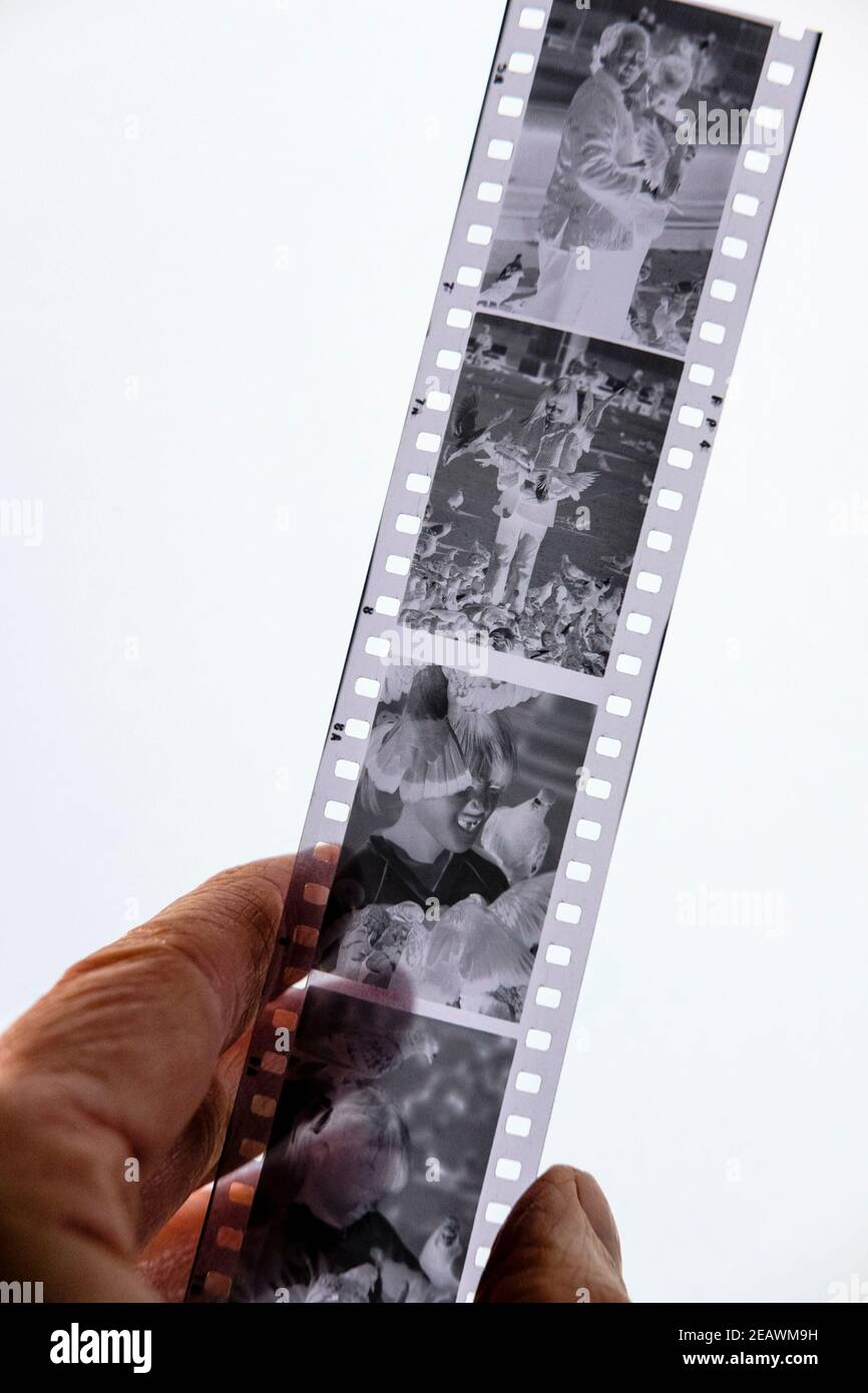 Una striscia di pellicola nera e bianca negativa da 35 mm Foto Stock