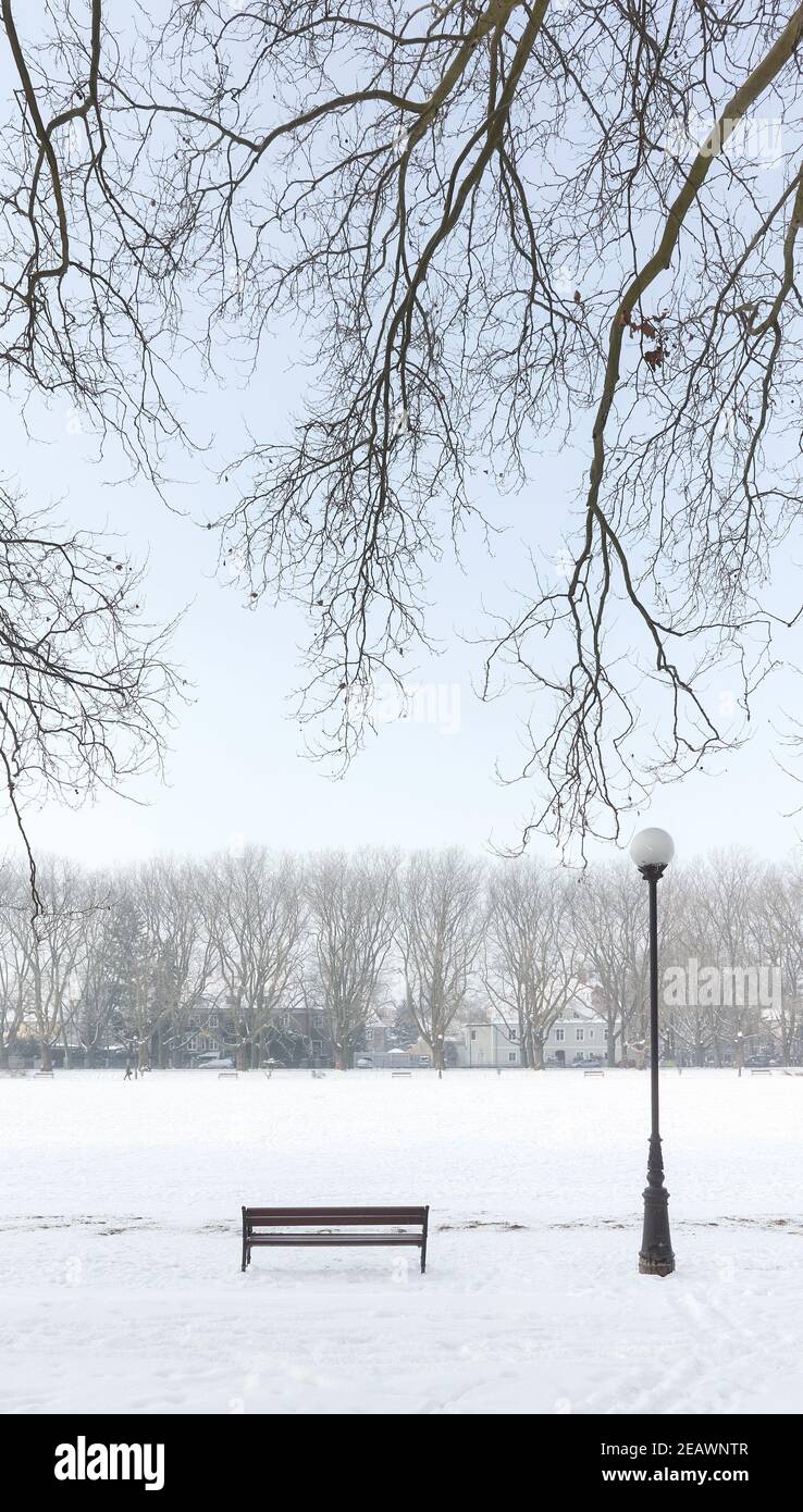 Jan Kasprowicz Park in inverno, Szczecin, Polonia. Foto Stock