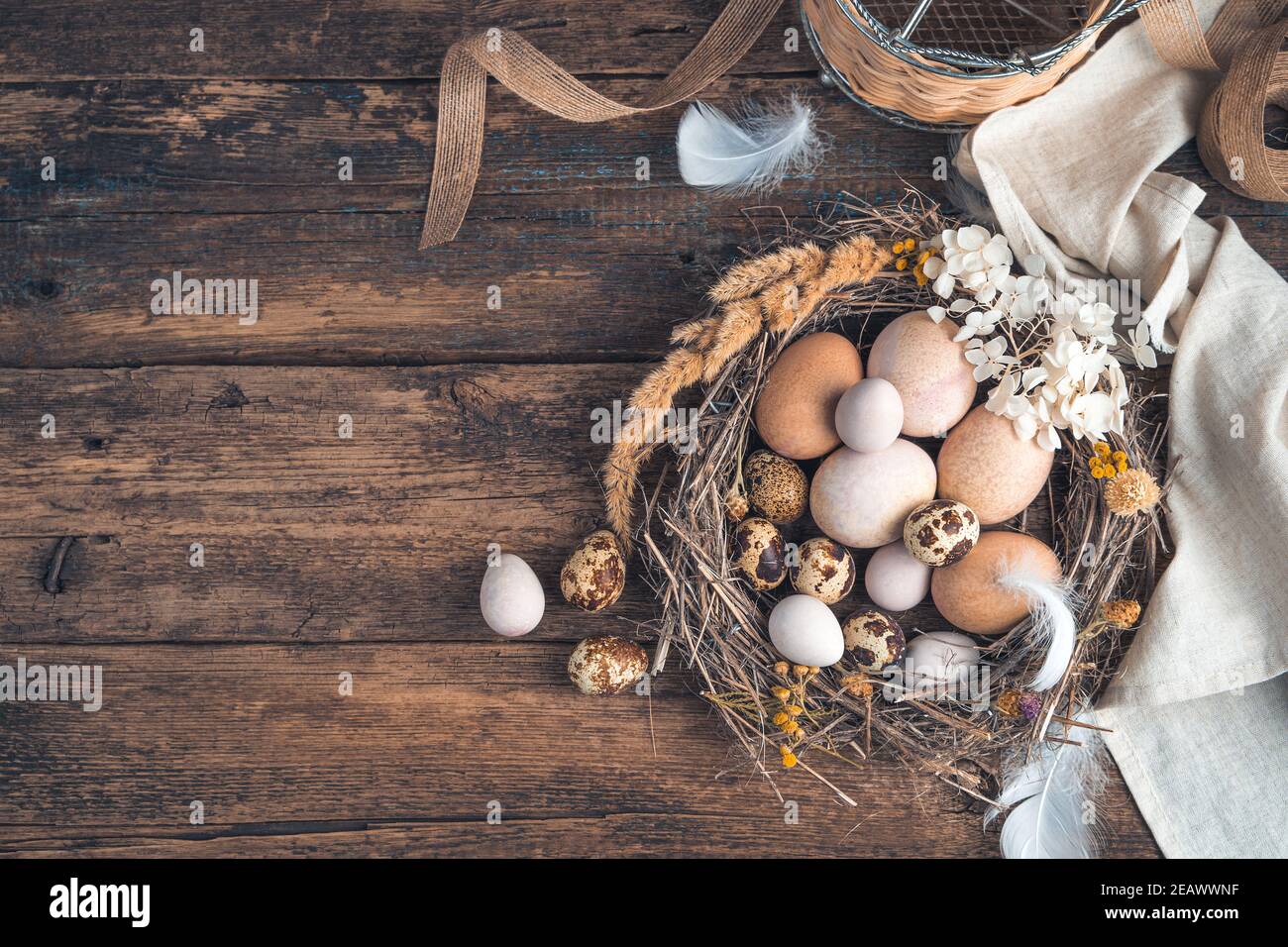 Sfondo festivo con quaglia e uova di pollo su sfondo di legno. Foto Stock
