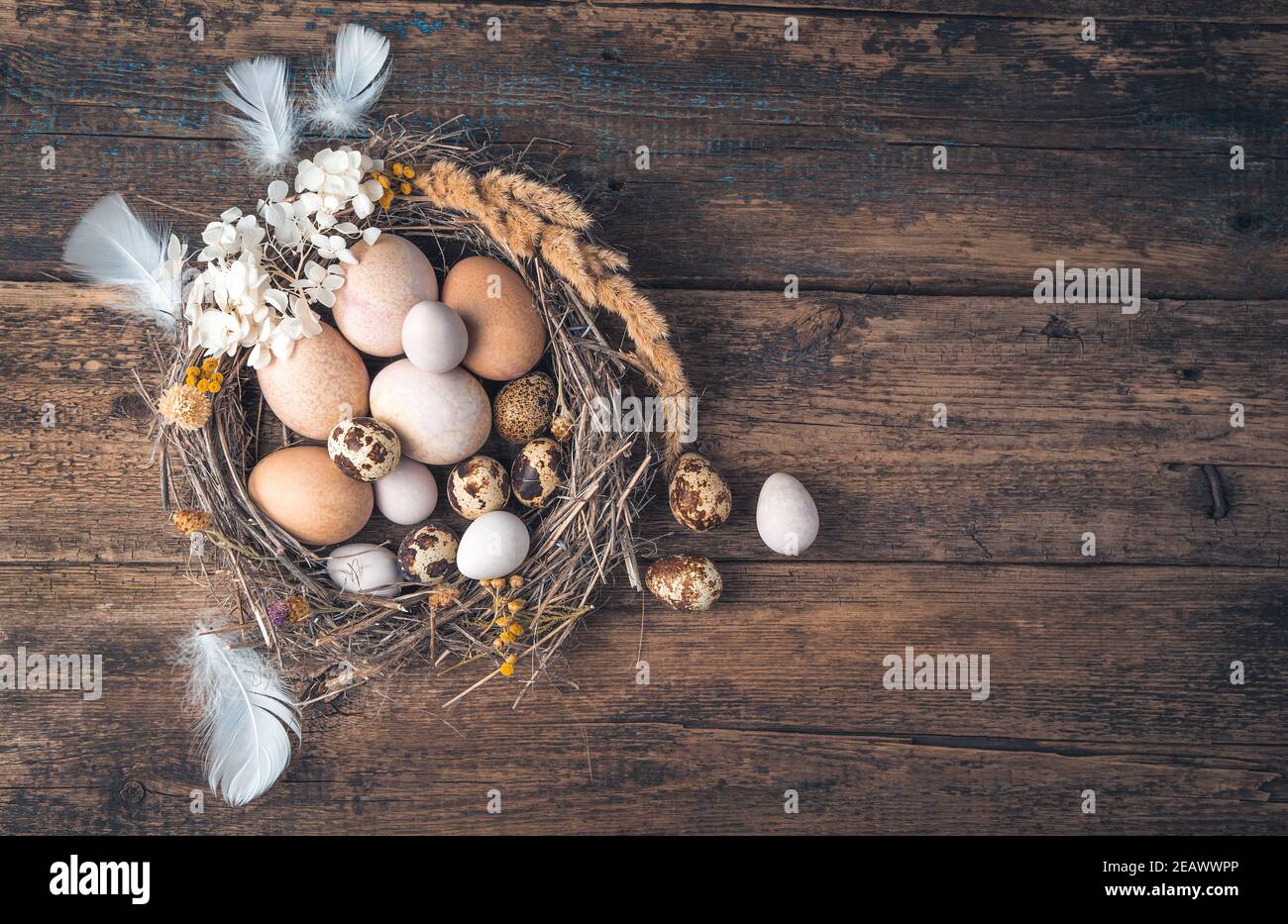 Uova di pollo e quaglia dipinte con coloranti naturali in un nido su sfondo di legno. Foto Stock