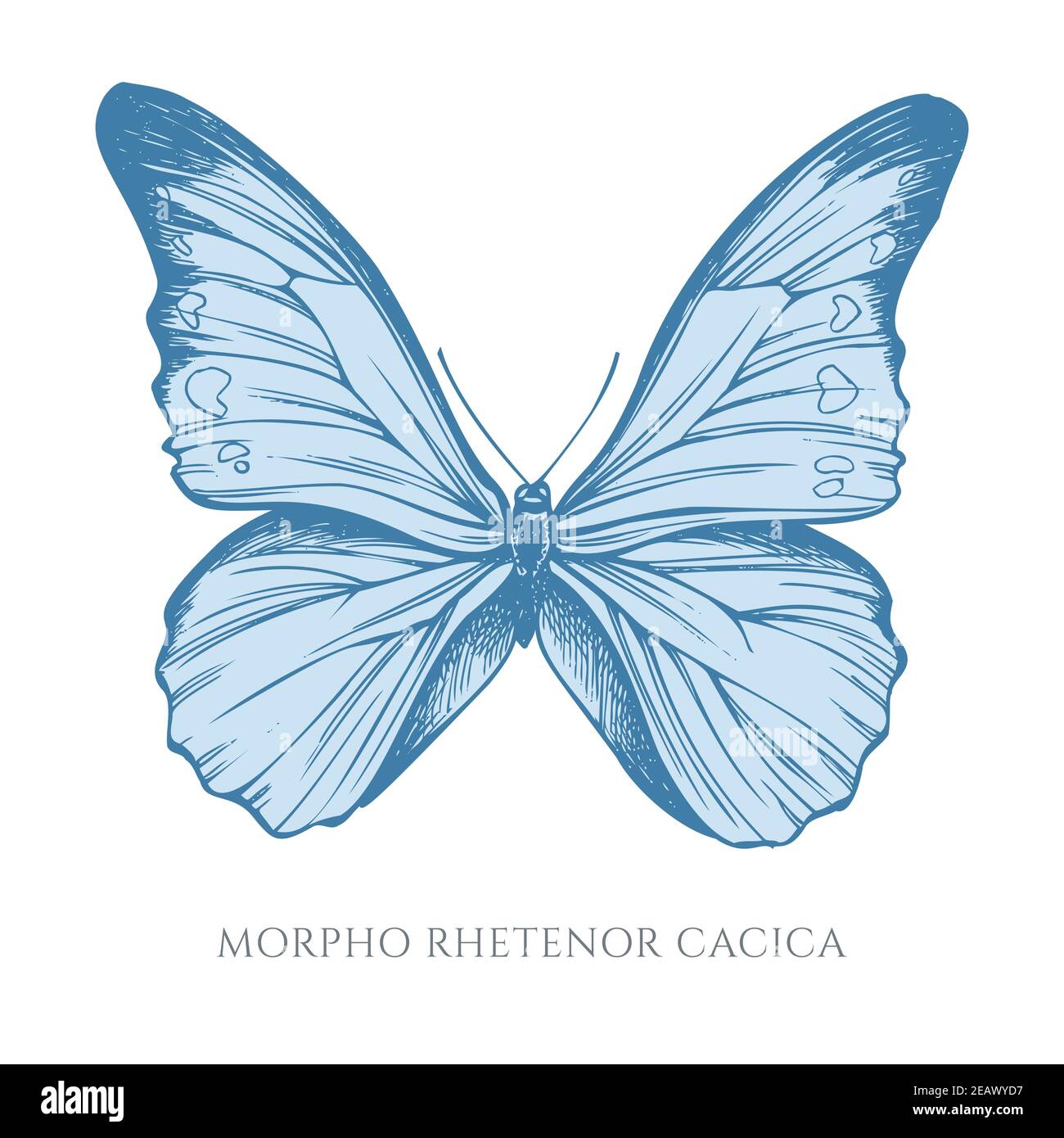 Serie vettoriale di morfo blu pastello disegnato a mano Illustrazione Vettoriale