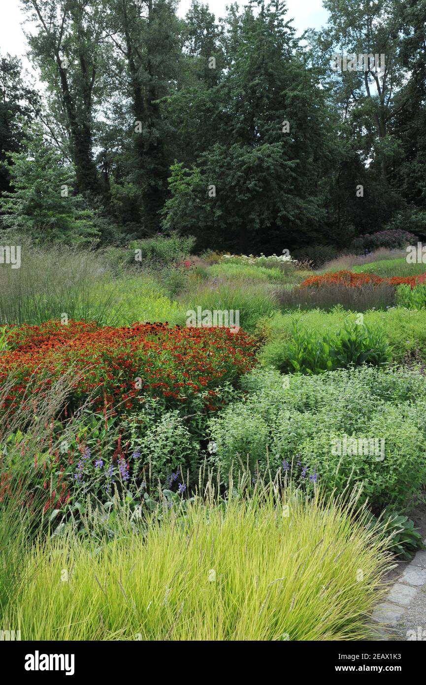 HAMM, GERMANIA - 15 AGOSTO 2015: Impianto in stile prato perenne progettato da Piet Oudolf nel giardino d'arte nel parco pubblico Maximilianpark Foto Stock