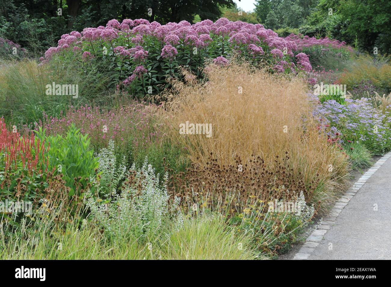 HAMM, GERMANIA - 15 AGOSTO 2015: Impianto in stile prato perenne progettato da Piet Oudolf nel giardino d'arte nel parco pubblico Maximilianpark Foto Stock