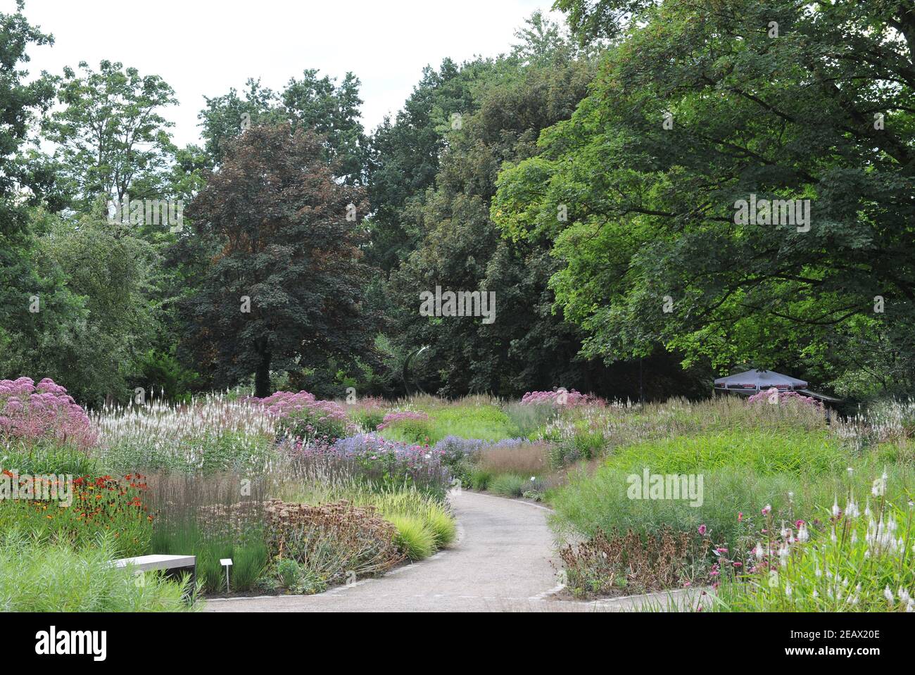 HAMM, GERMANIA - 15 AGOSTO 2015: Impianto in stile prato perenne progettato da Piet Oudolf nel giardino Nature Designs nel Maximilianpark Foto Stock
