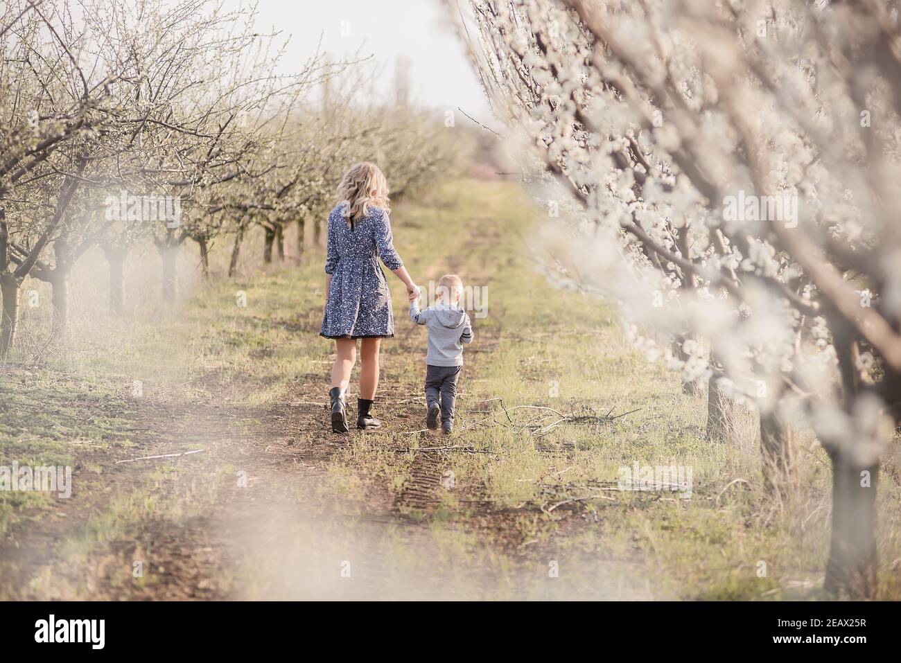 Giovane madre bionda con suo figlio cammina per mano tra i fiorenti frutteti di mele. Week-end all'aperto in un giardino con fiori bianchi. Ha Foto Stock