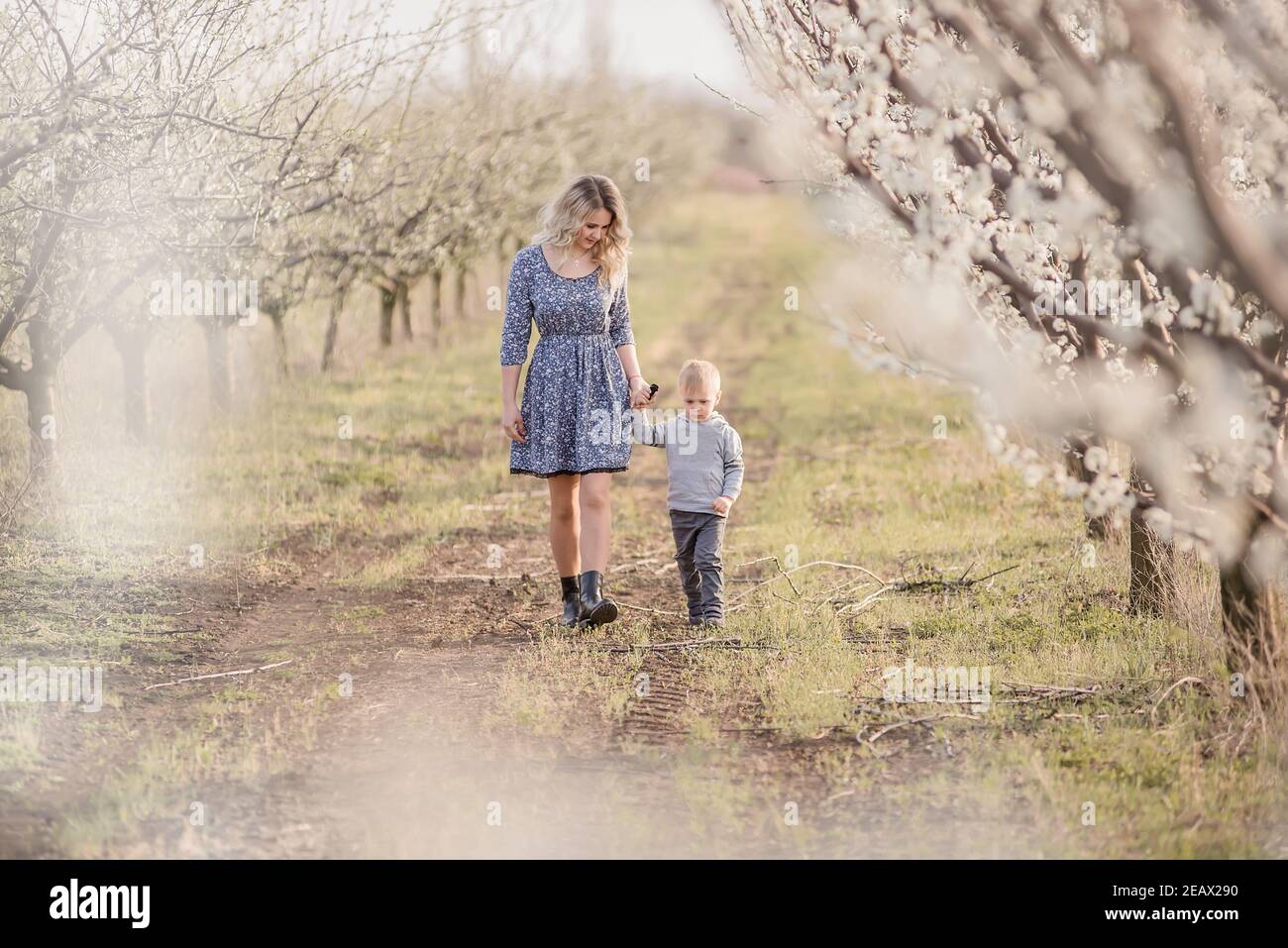 Giovane madre bionda con suo figlio cammina per mano tra i fiorenti frutteti di mele. Week-end all'aperto in un giardino con fiori bianchi. Ha Foto Stock