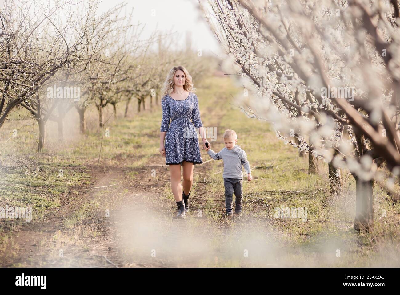 Giovane madre bionda con suo figlio cammina per mano tra i fiorenti frutteti di mele. Week-end all'aperto in un giardino con fiori bianchi. Ha Foto Stock