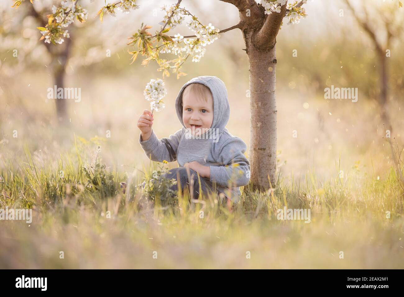 Piccolo ragazzo biondo in felpa grigia con un cappuccio sulla testa si siede in erba verde sotto albero fiorito con fiori bianchi, ride. Weekend di viaggio, picni Foto Stock