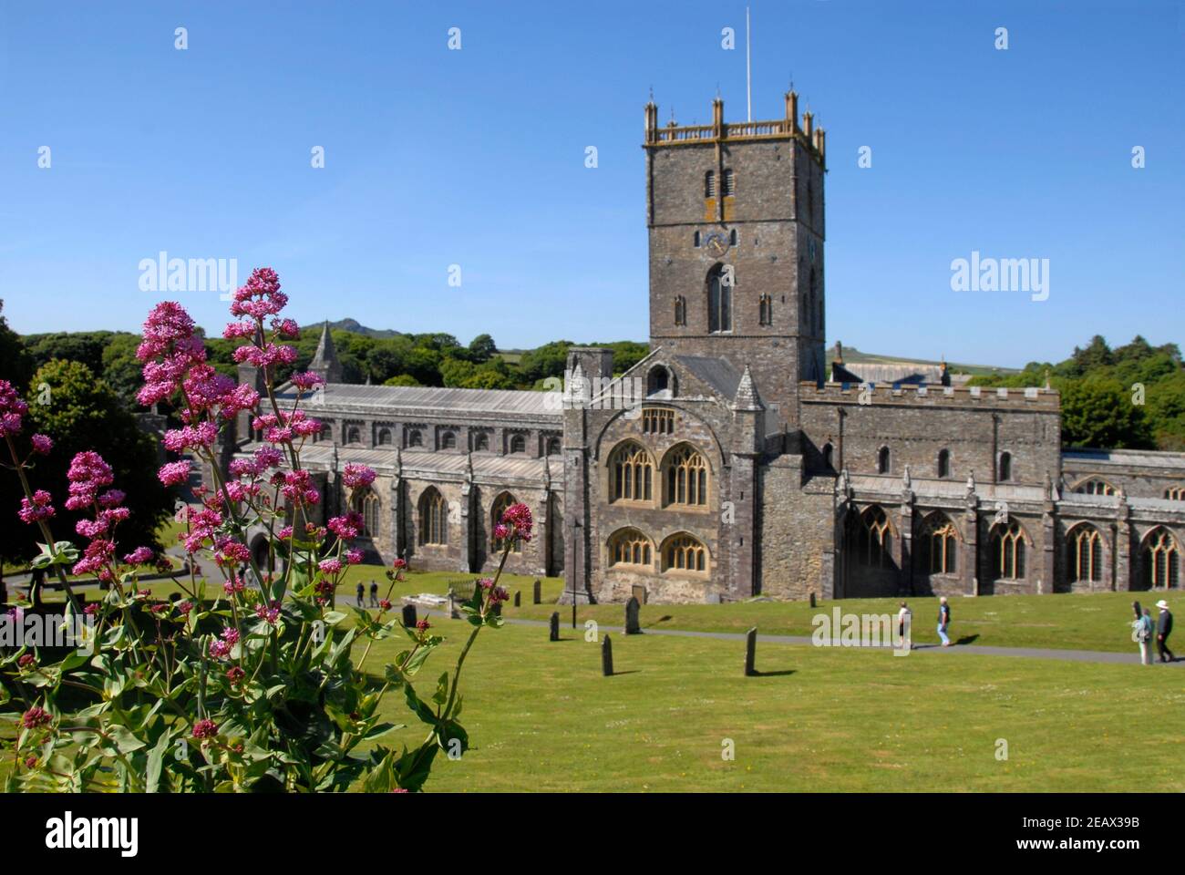 Scalini che conducono alla cattedrale di St David, Pembrokeshire, Galles Foto Stock