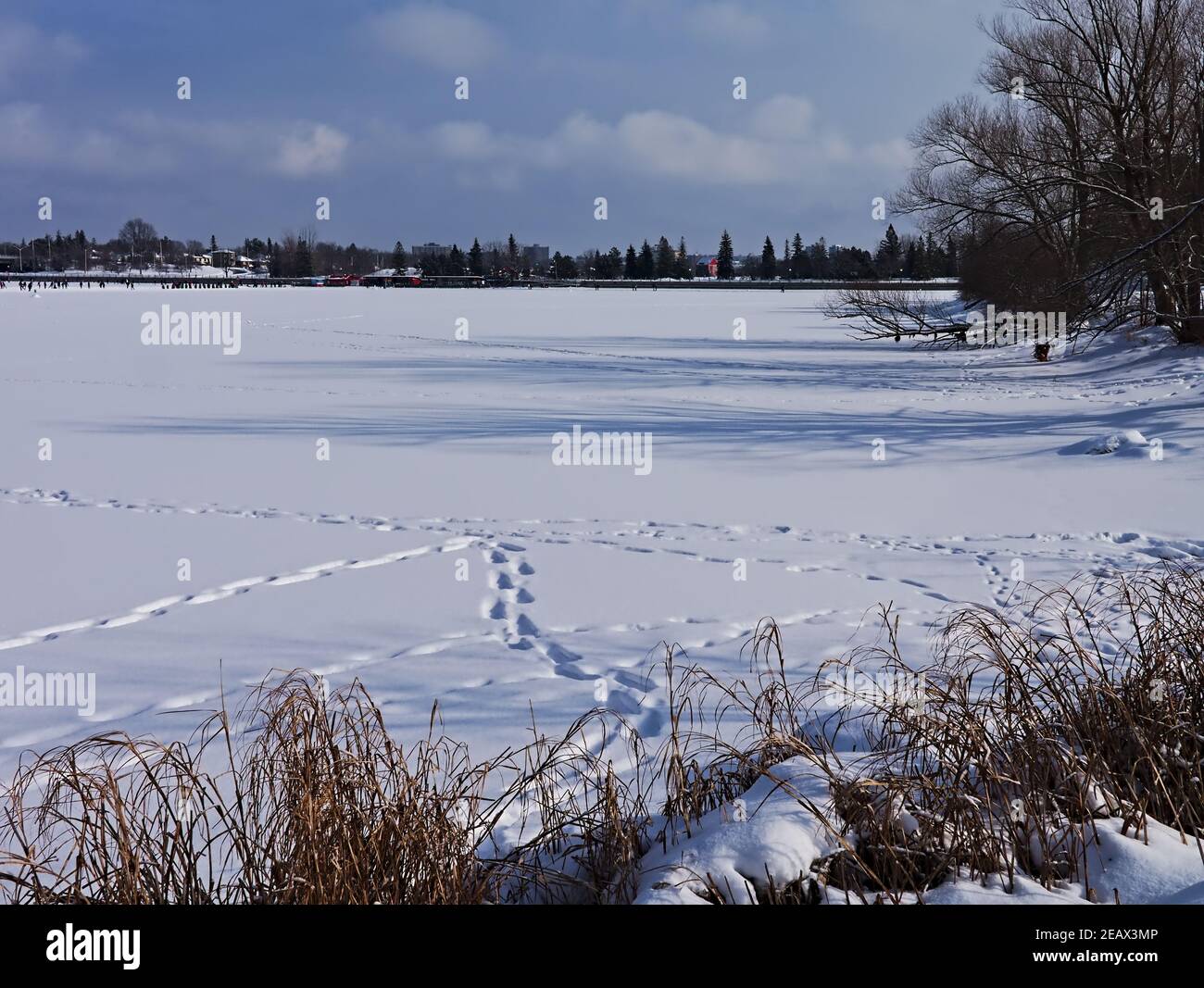 Paese delle meraviglie invernali! Scene da tutto il lago Dow's e l'Arboretum, Ottawa, Ontario, Canada. Foto Stock