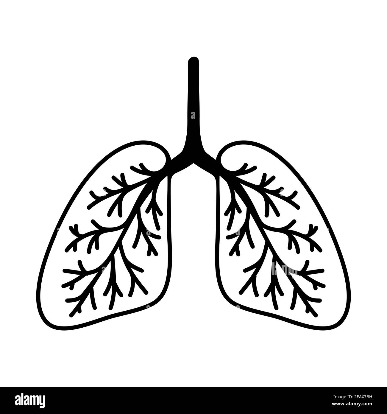 Semplice illustrazione dei polmoni disegnati a mano. Isolato su sfondo bianco. Illustrazione Vettoriale