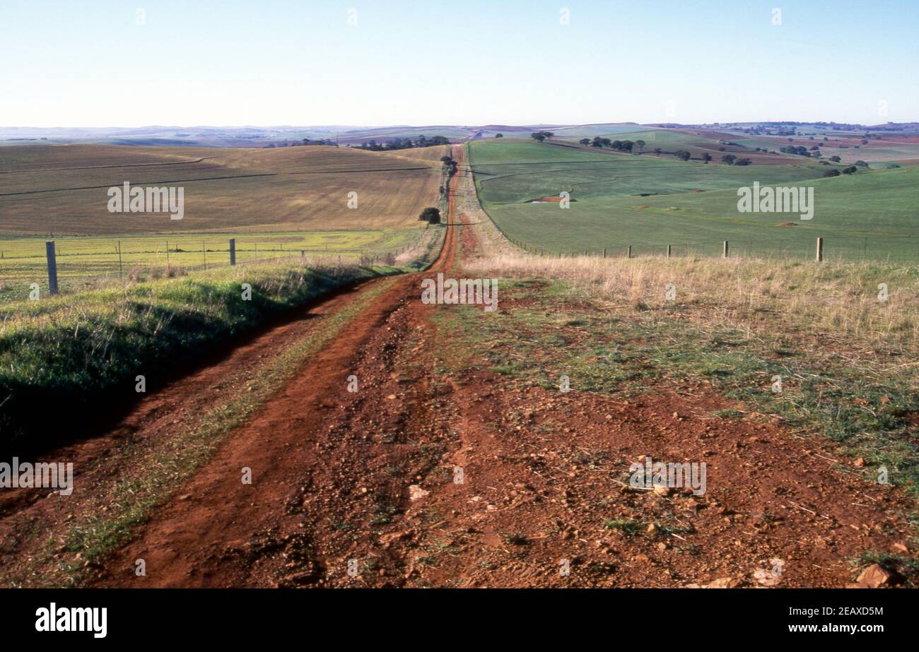PERCORSO STERRATO ATTRAVERSO TERRENI AGRICOLI VICINO ALLA CITTÀ DI KAPUNDA, NELL'AUSTRALIA MERIDIONALE. Foto Stock