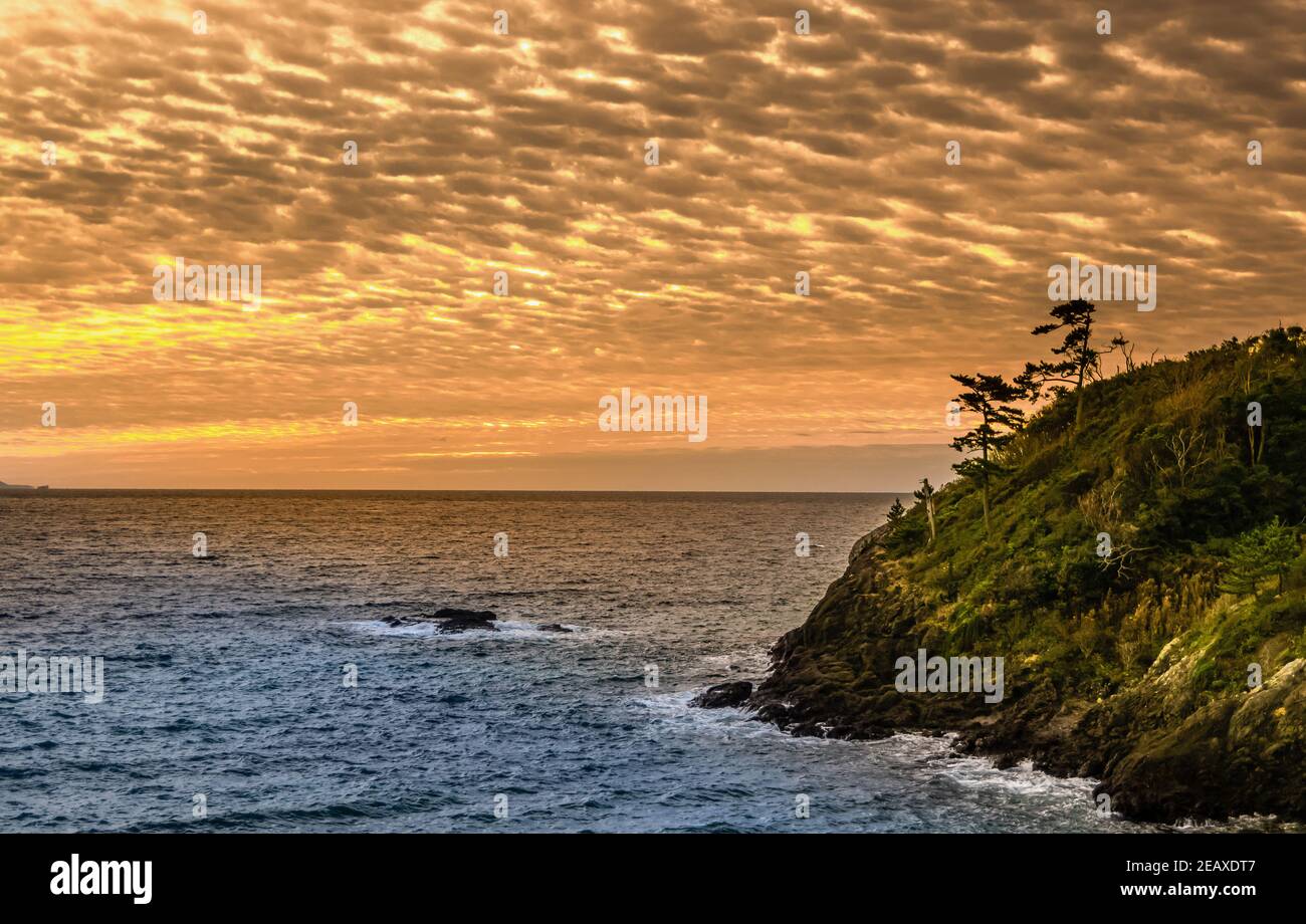 Le calde striature di luce colpiscono il fogliame che si staglia nel mare su un affioramento ripido mentre il sole si alza lentamente sull'orizzonte. Scatto effettuato Foto Stock