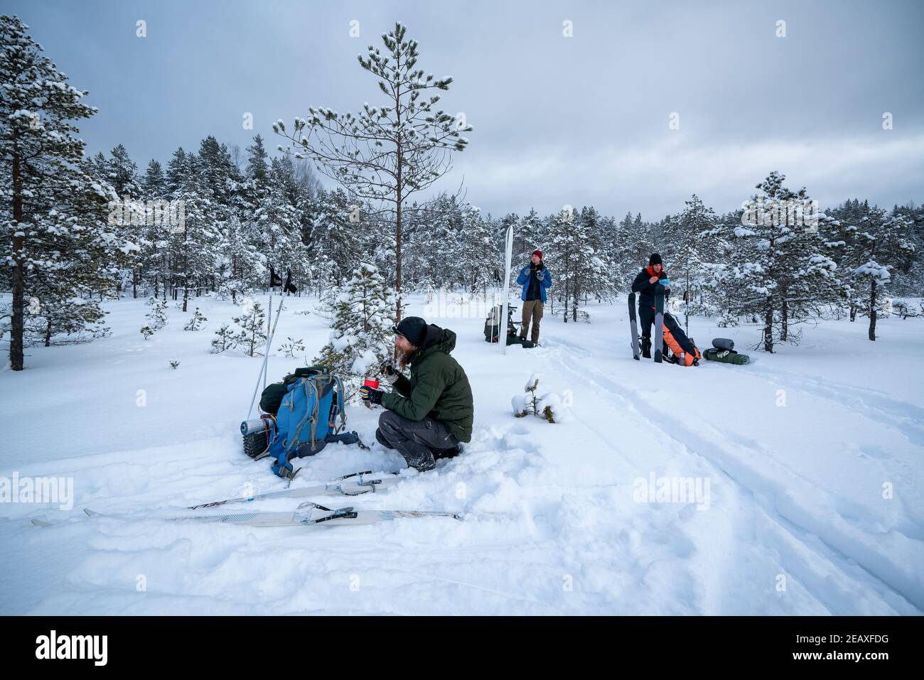 Sci alpinismo nel Parco Nazionale di Torronsuo, Tammela, Finlandia Foto Stock