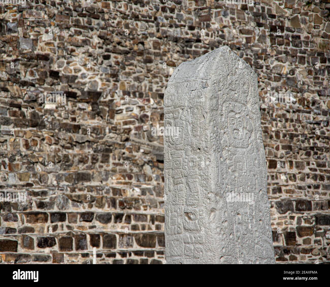 Alcune delle stele del Monte Albán, patrimonio dell'umanità dell'UNESCO, a Oaxaca, Messico Foto Stock