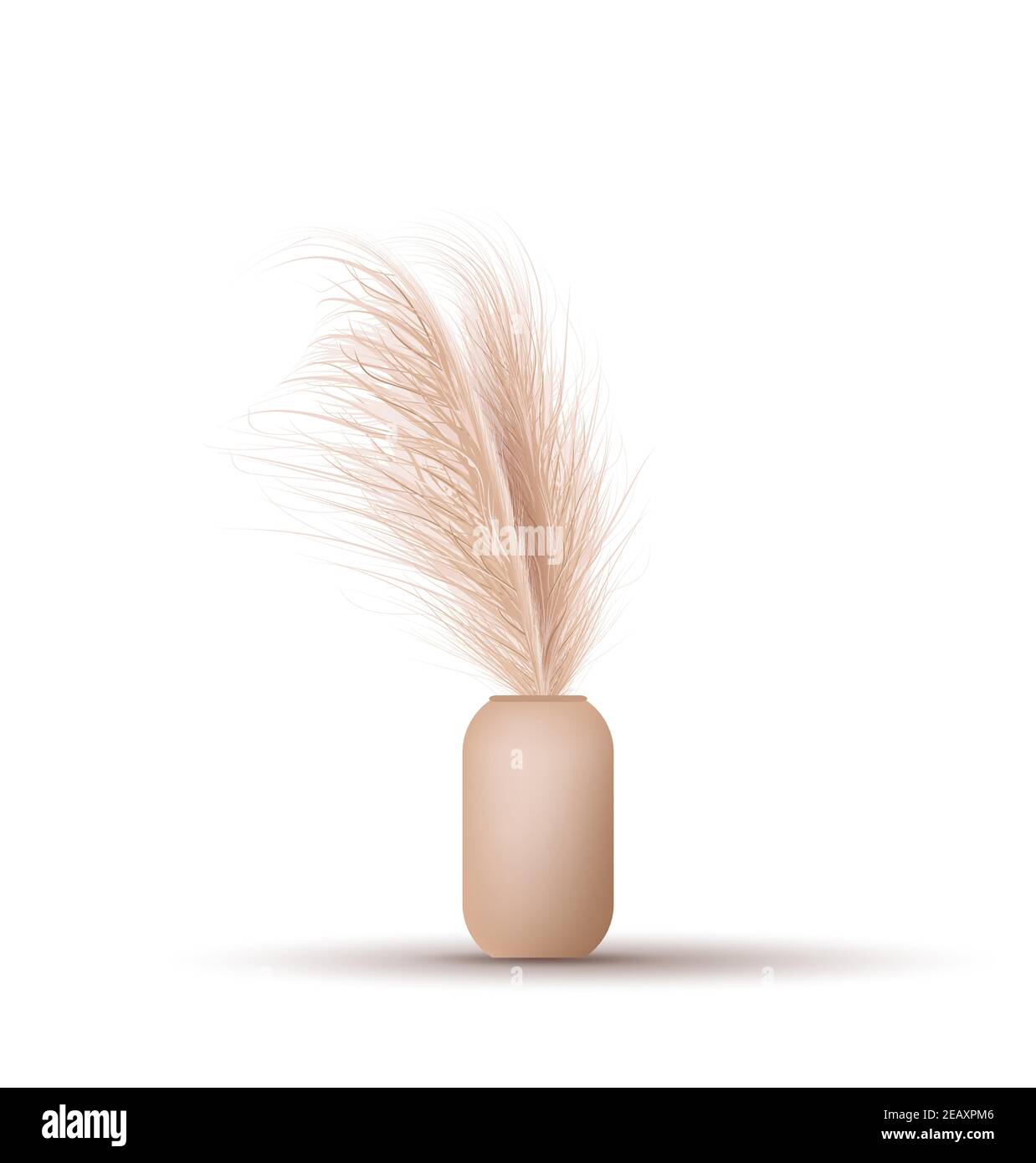 Pampas erba in vaso. Elementi decorativi floreali essiccati in stile boho. Illustrazione vettoriale isolata su sfondo bianco. Nuovo arredamento alla moda. Elegante Illustrazione Vettoriale