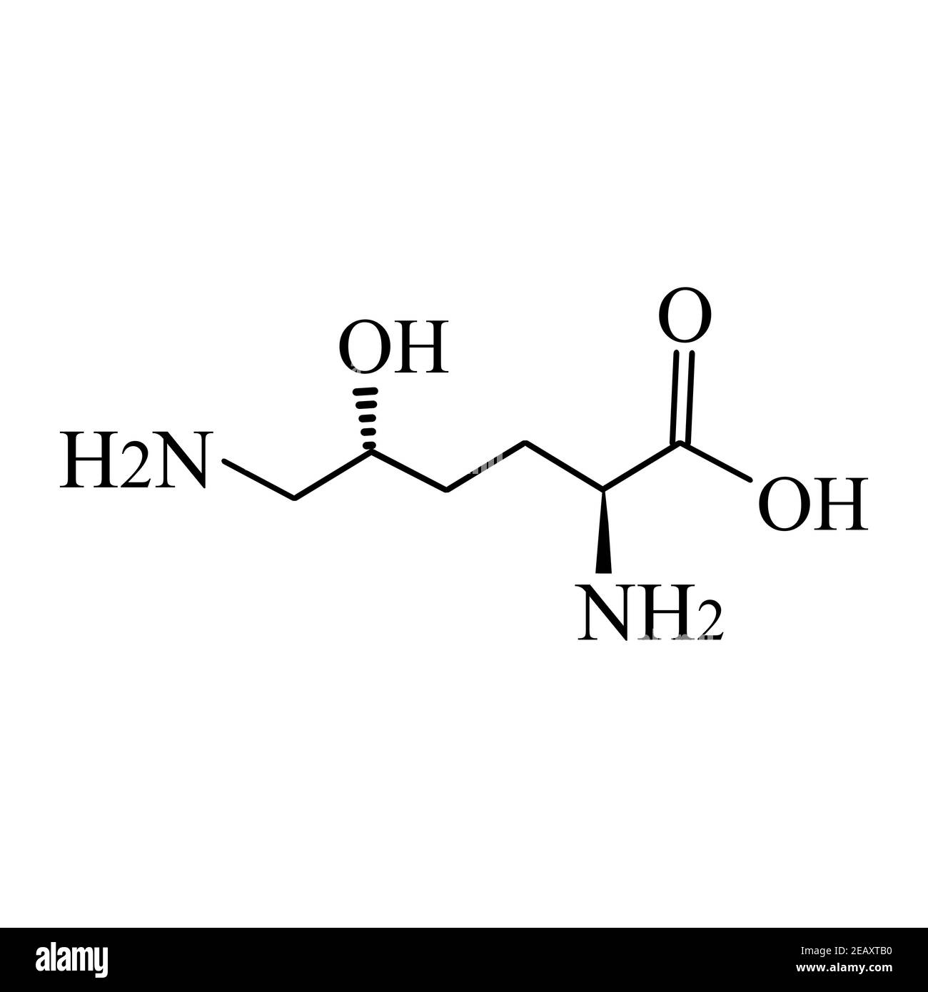 L'idrossilisina è un amminoacido. Formula chimica molecolare idroxilisina amminoacido. Illustrazione vettoriale su sfondo isolato Illustrazione Vettoriale