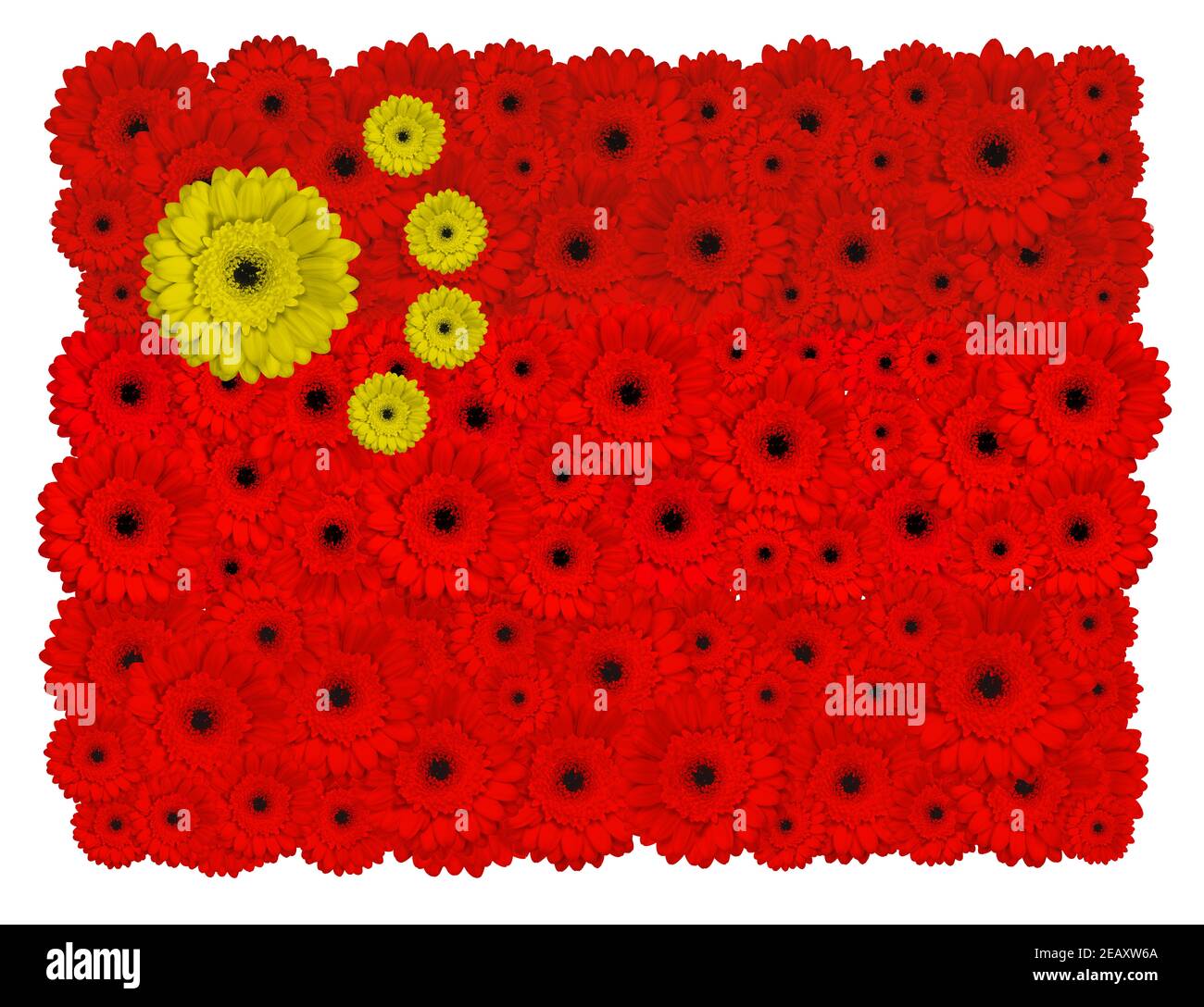 Bandiera cinese fatta di fiori di gerbera, isolato su bianco Foto Stock