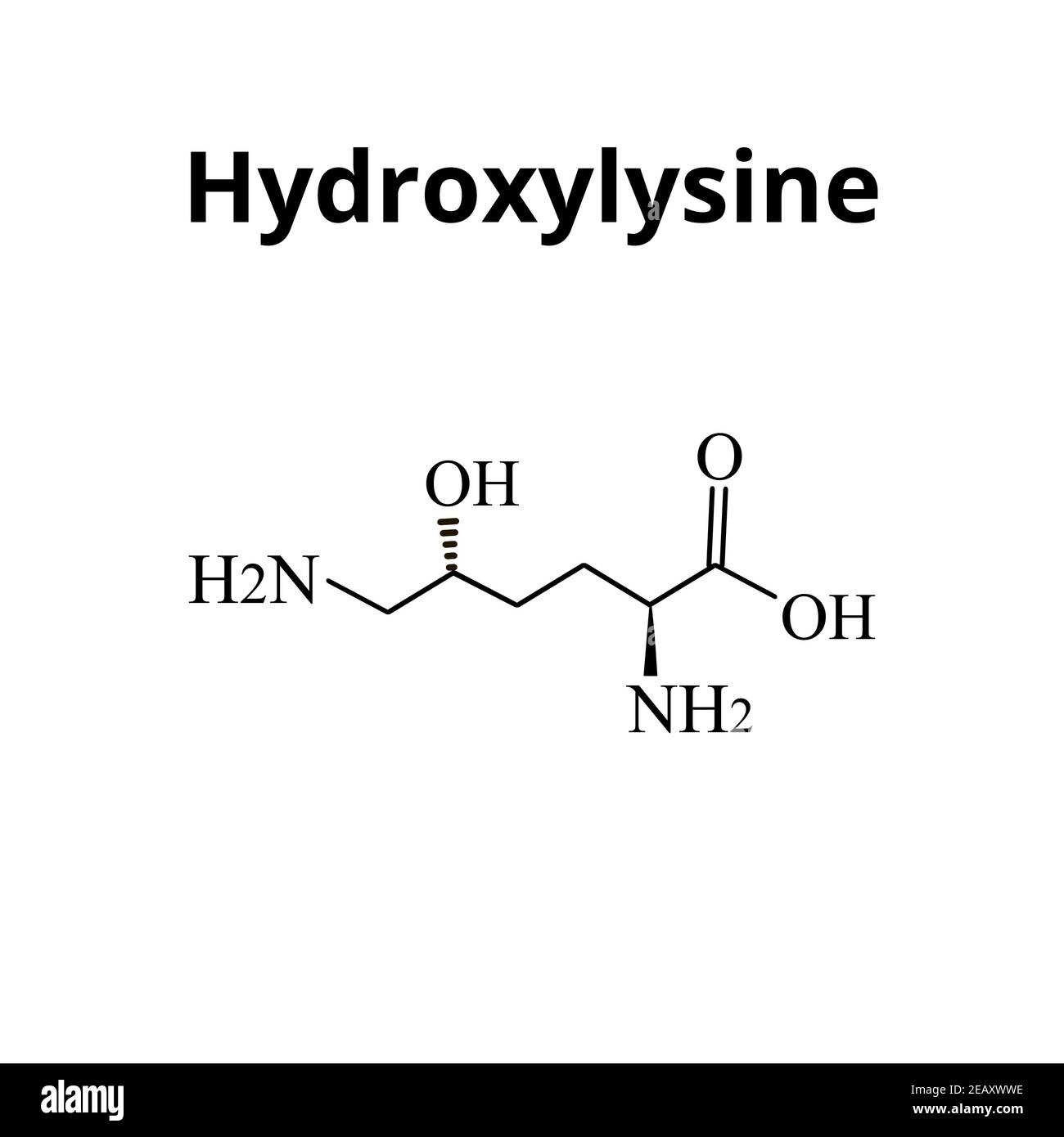 L'idrossilisina è un amminoacido. Formula chimica molecolare idroxilisina amminoacido. Illustrazione vettoriale su sfondo isolato Illustrazione Vettoriale