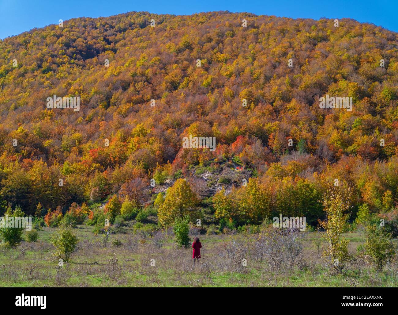 Parco Nazionale d'Abruzzo, Lazio e Molise (Italia) - autunno con fogliame in riserva naturale montana, con piccoli paesi, lago Barrea, Camosciara Foto Stock