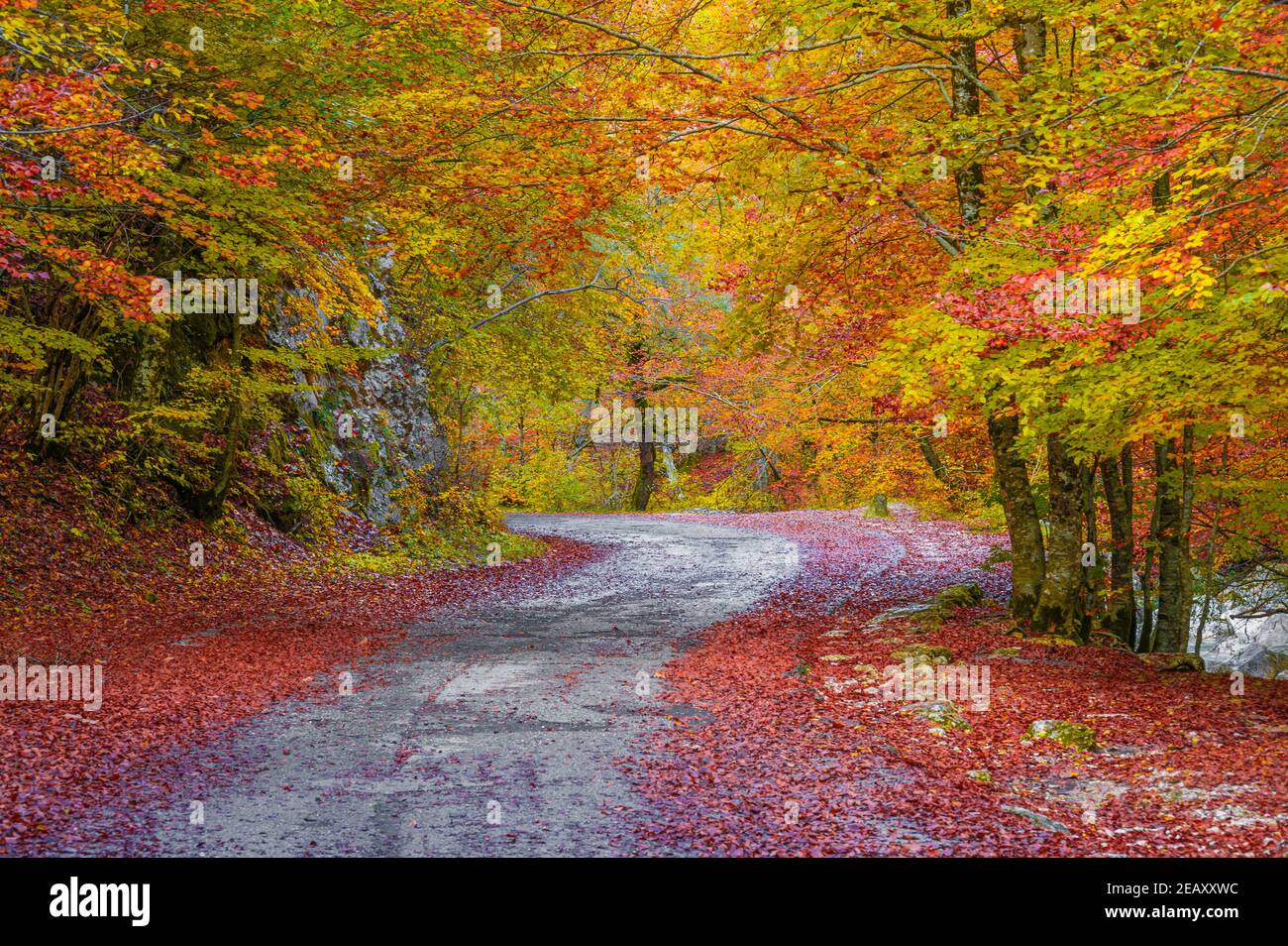 Parco Nazionale d'Abruzzo, Lazio e Molise (Italia) - autunno con fogliame in riserva naturale montana, con piccoli paesi, lago Barrea, Camosciara Foto Stock