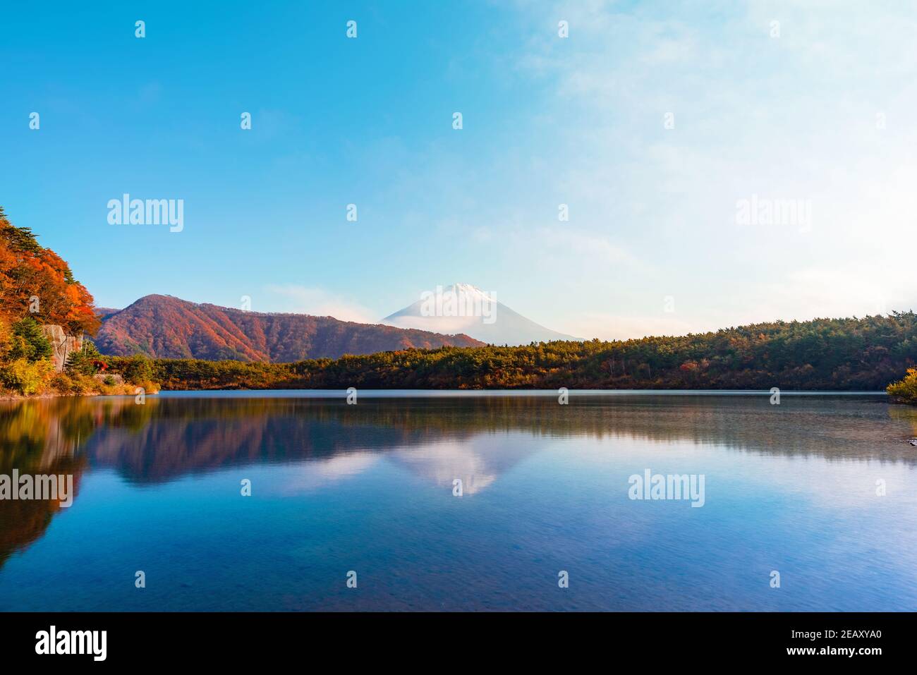 Splendido scenario del lago Saiko e della montagna Fuji in autunno In Giappone Foto Stock