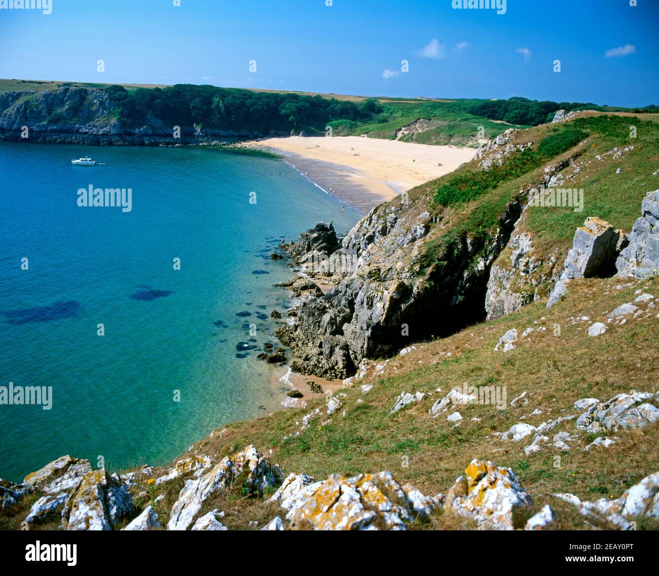 Barafundle Bay, Stackpole, Pembrokeshire, Galles occidentale. Foto Stock