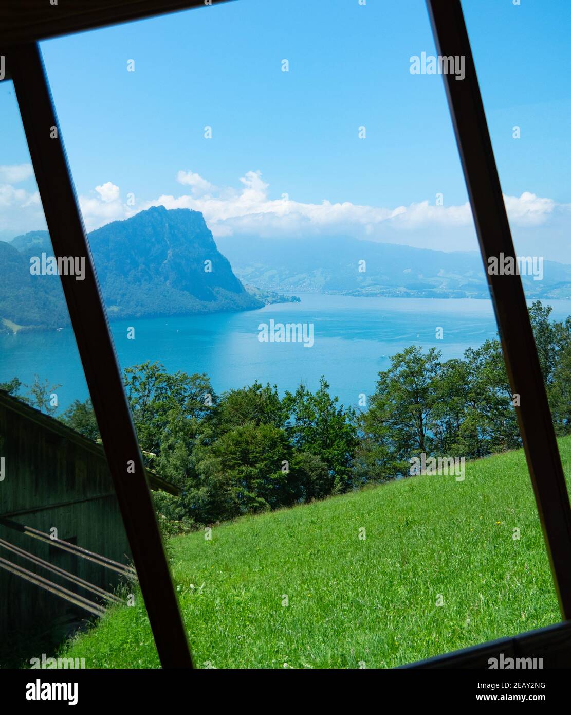 Vista dalla finestra della ferrovia a cremagliera per il monte Rigi, Svizzera Foto Stock