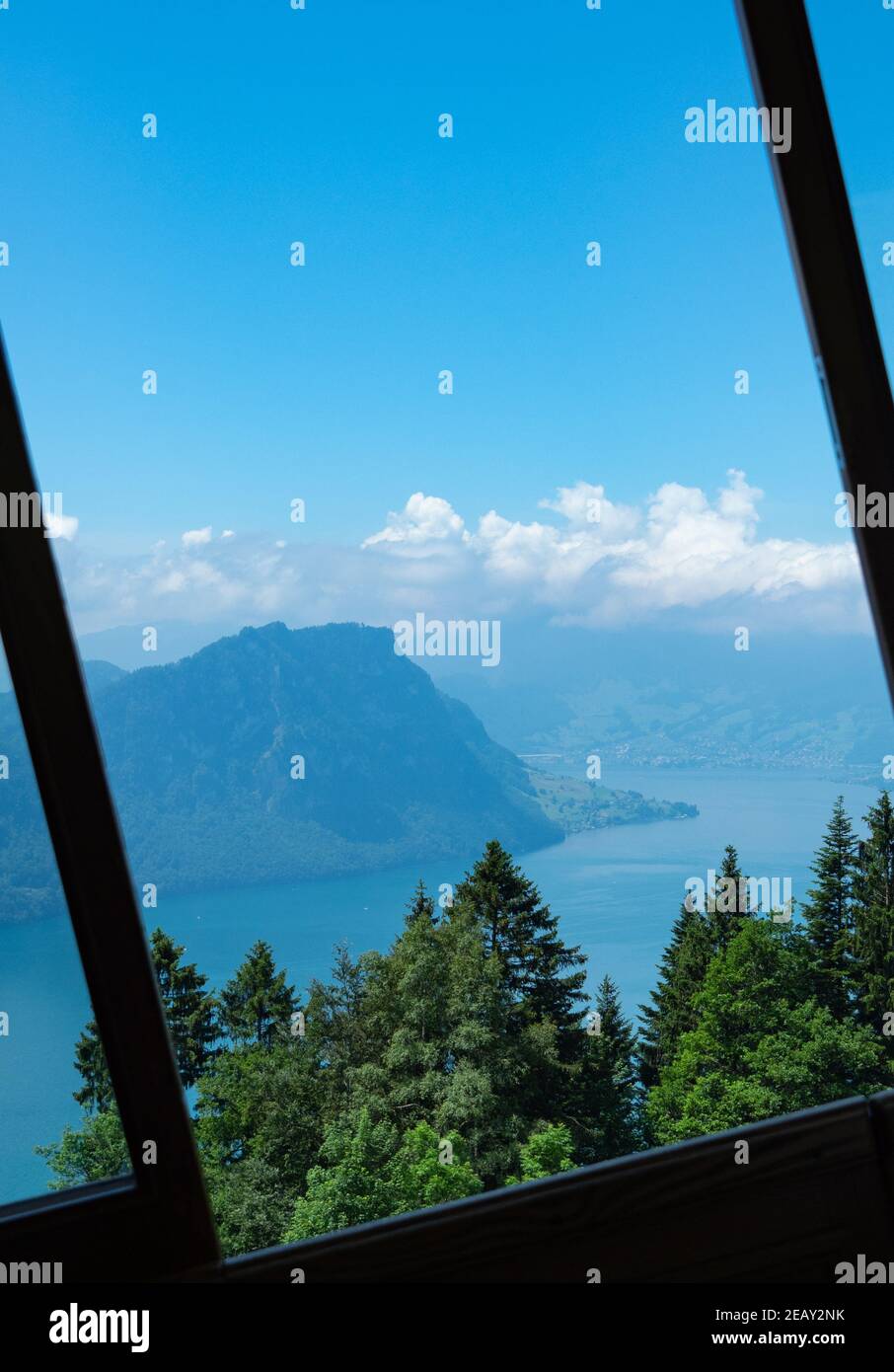 Vista dalla finestra della ferrovia a cremagliera per il monte Rigi, Svizzera Foto Stock